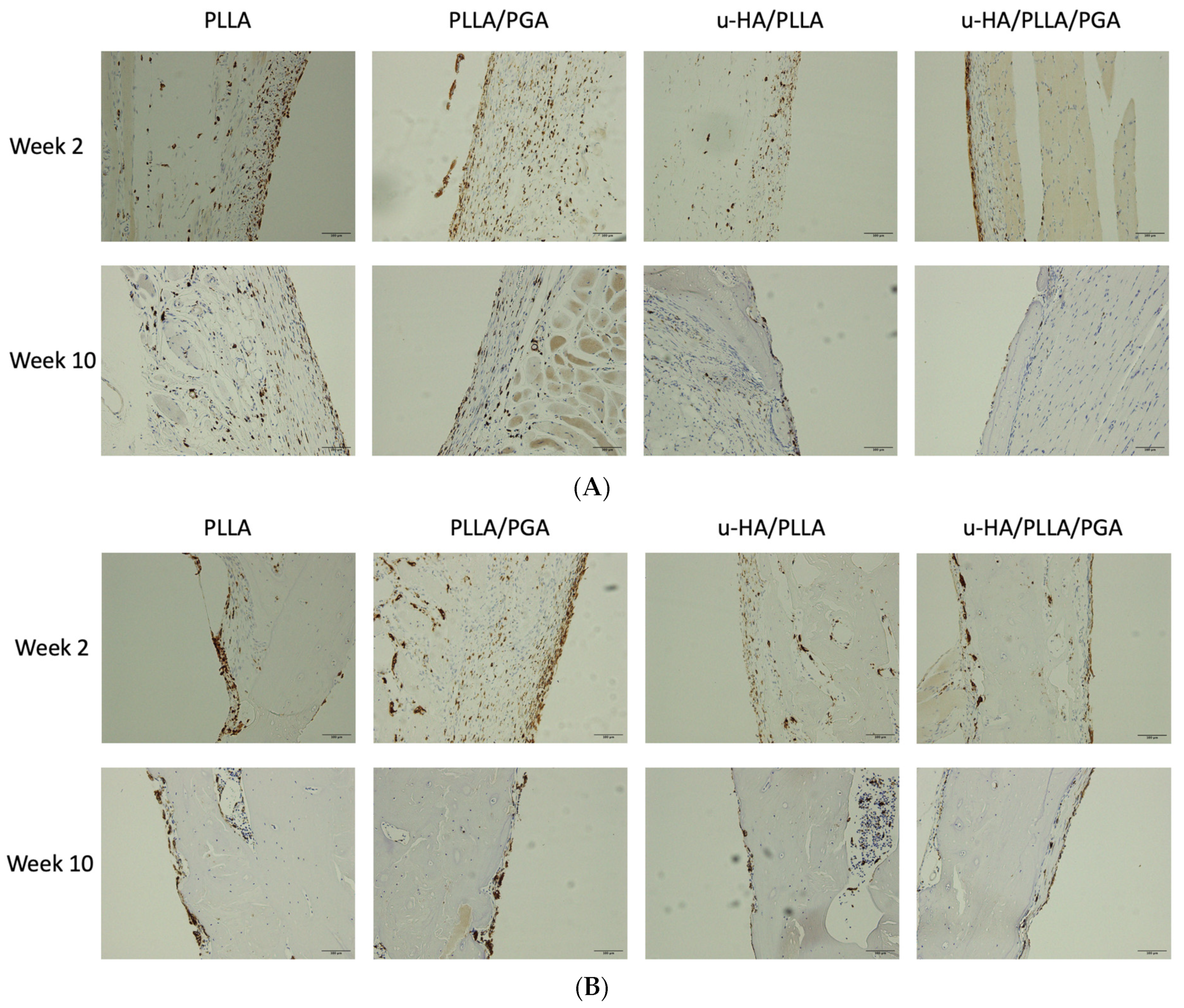 Materials 16 07379 g014