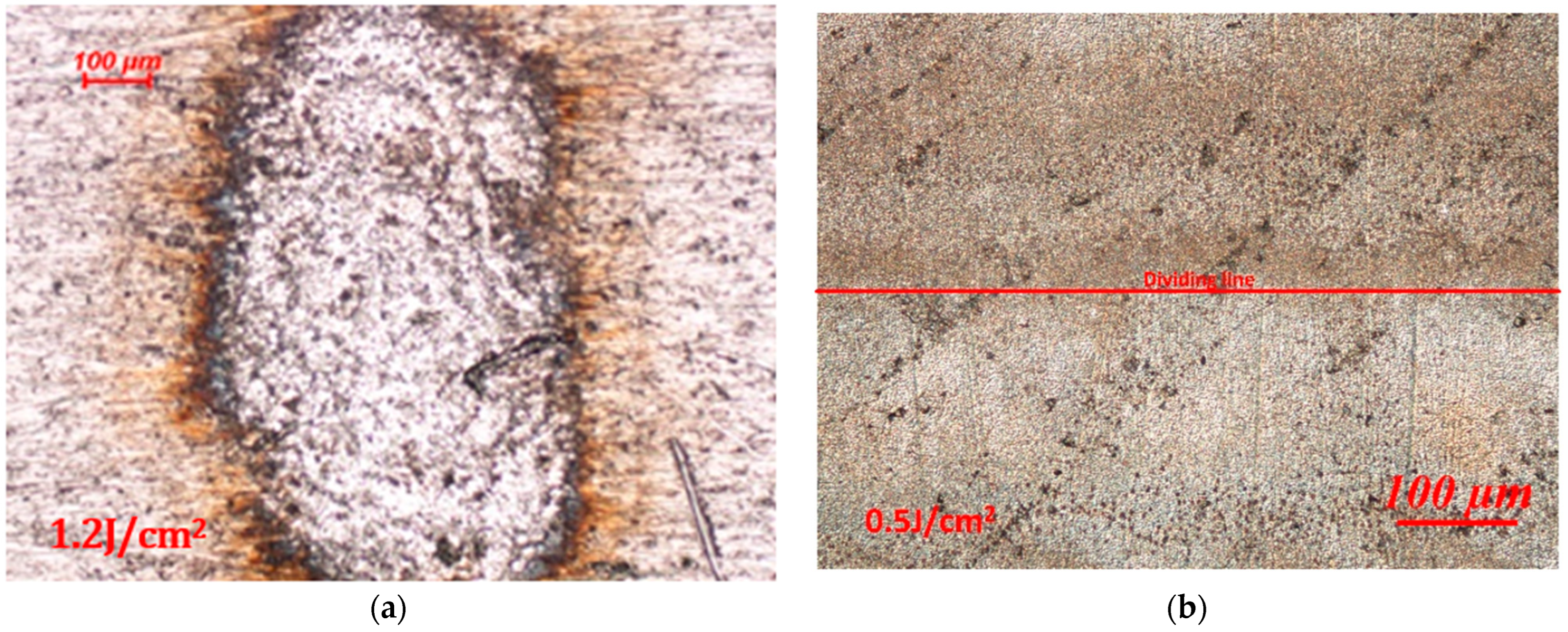 Materials 16 07415 g002