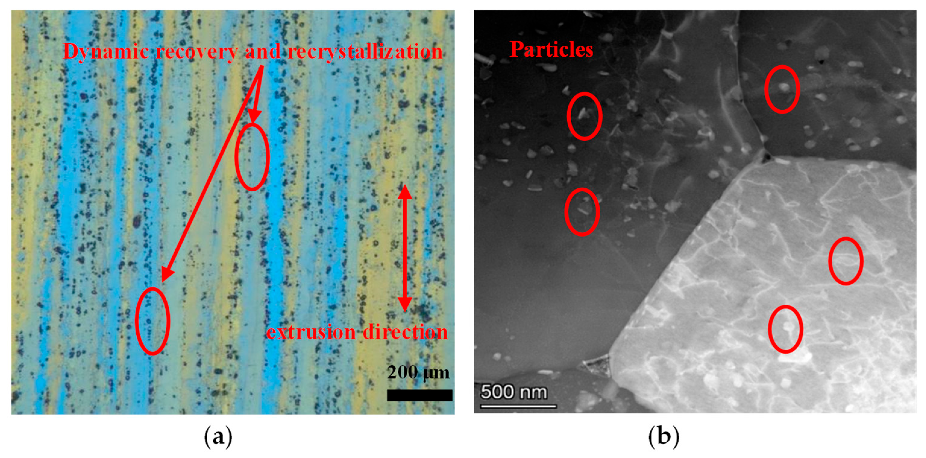 Materials 16 07432 g002