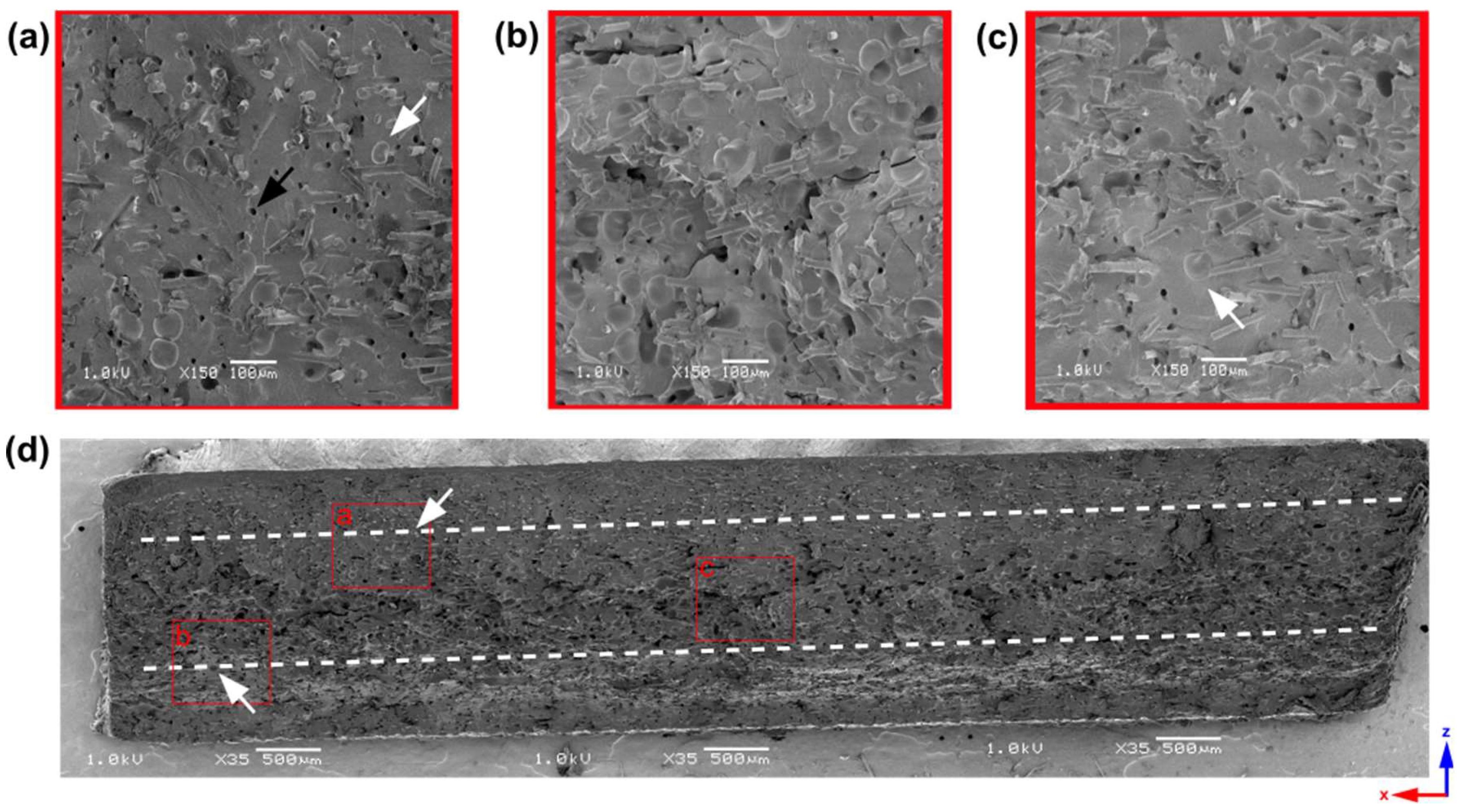 Materials 16 07501 g004