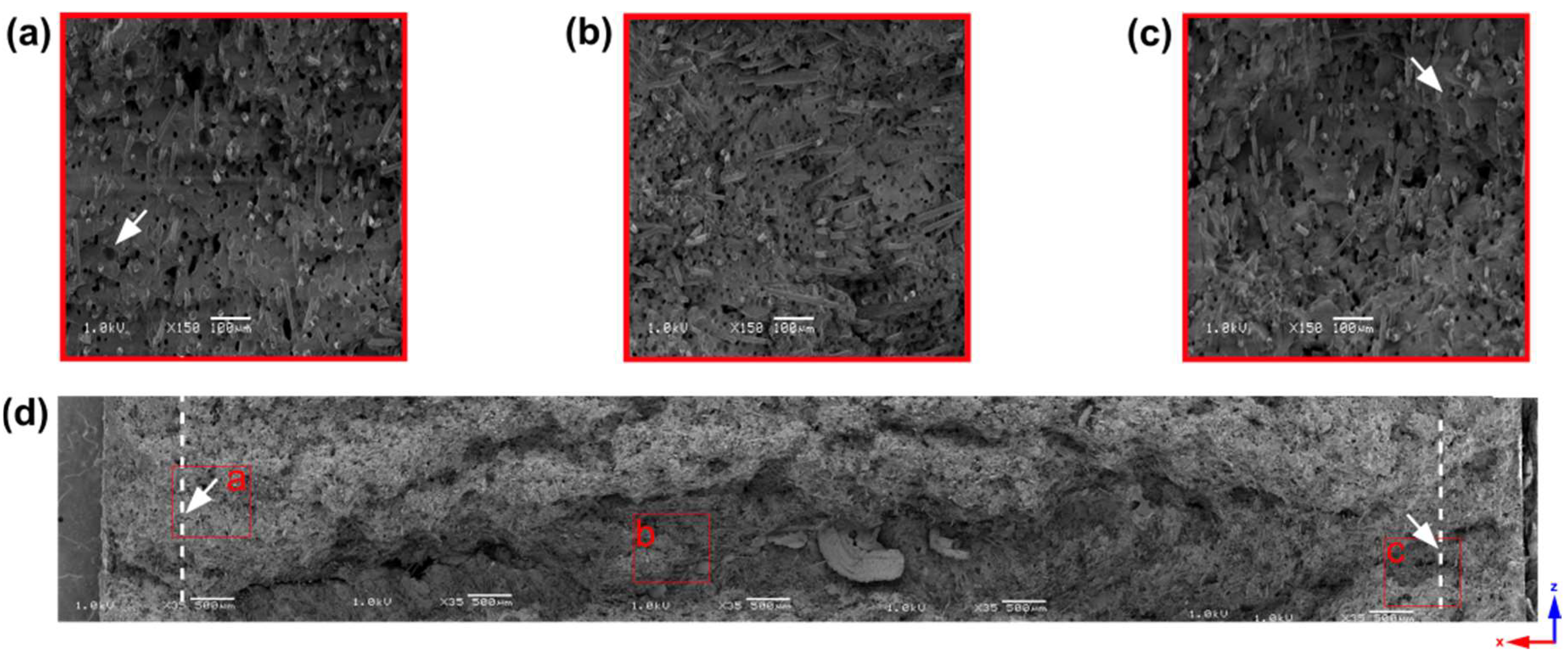 Materials 16 07501 g006