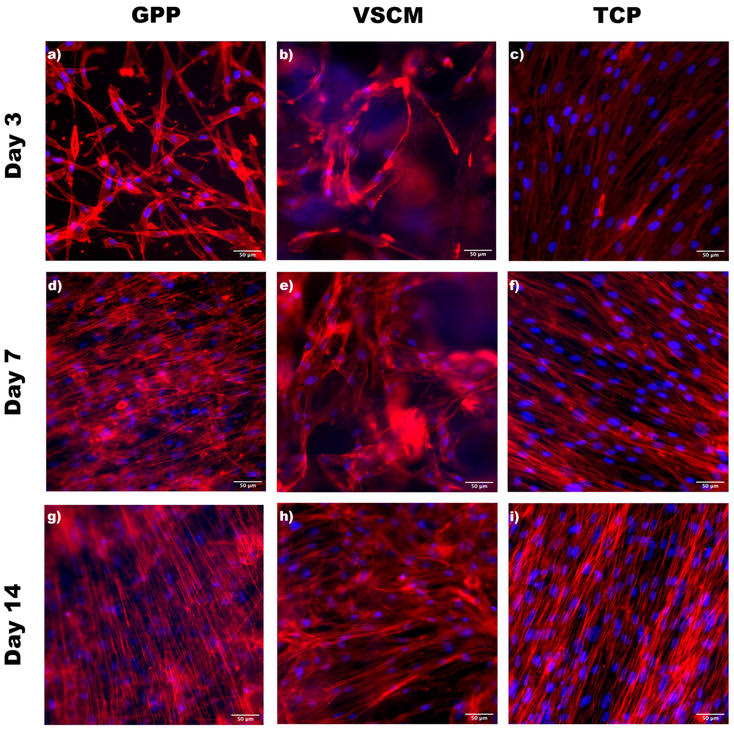 Materials 16 07508 g001