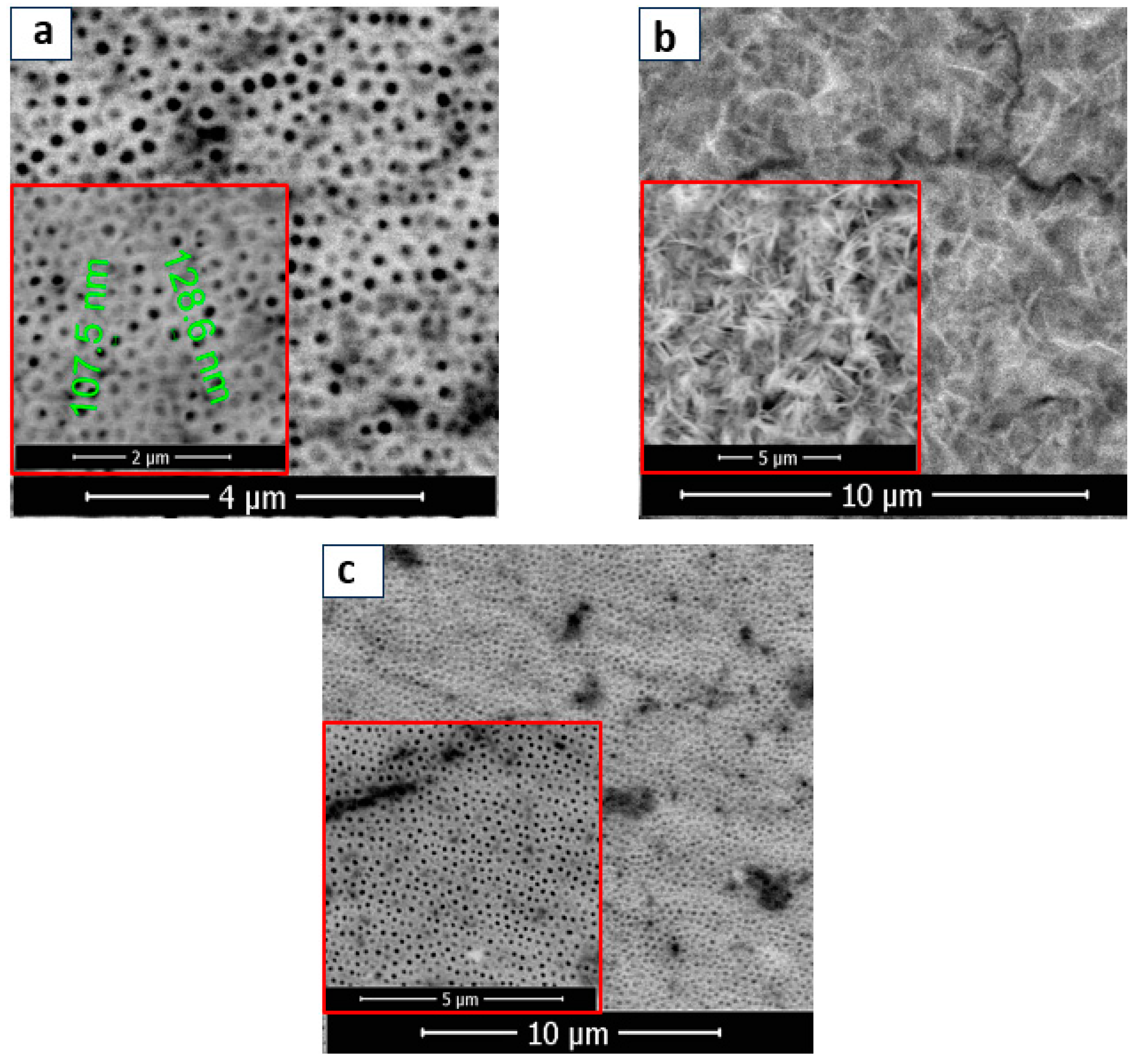 Materials 16 07509 g002