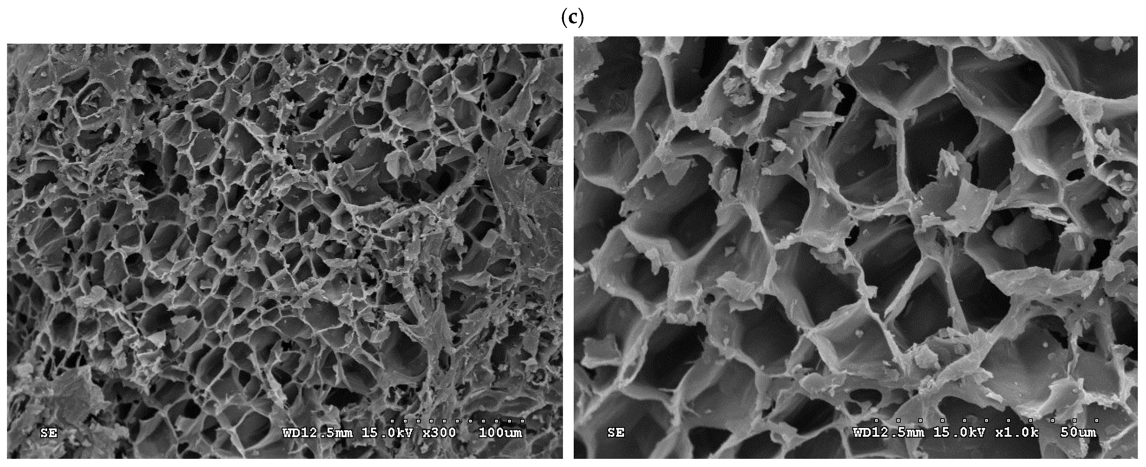 Materials 16 07529 g005b