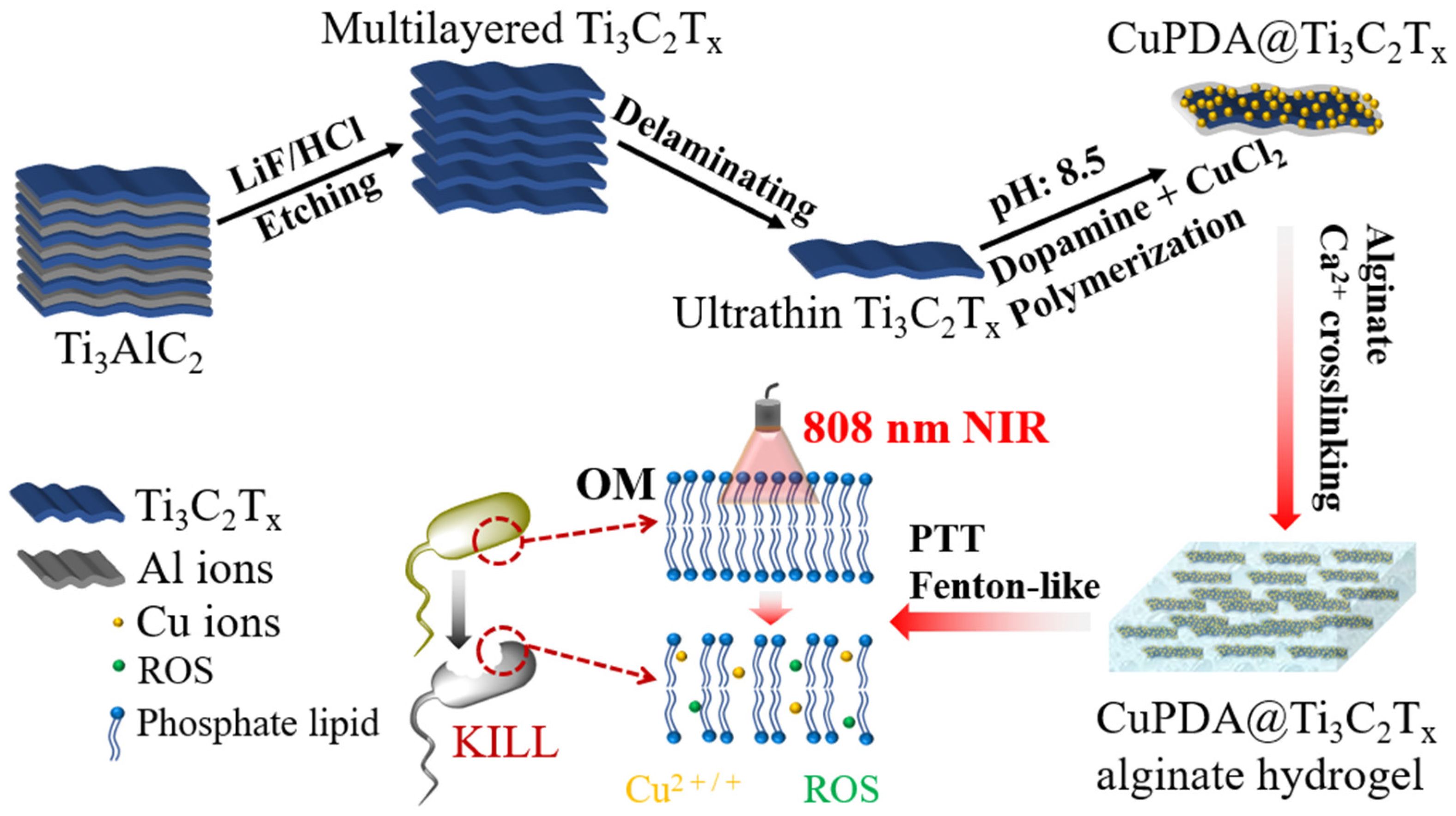 Materials 16 07583 g001