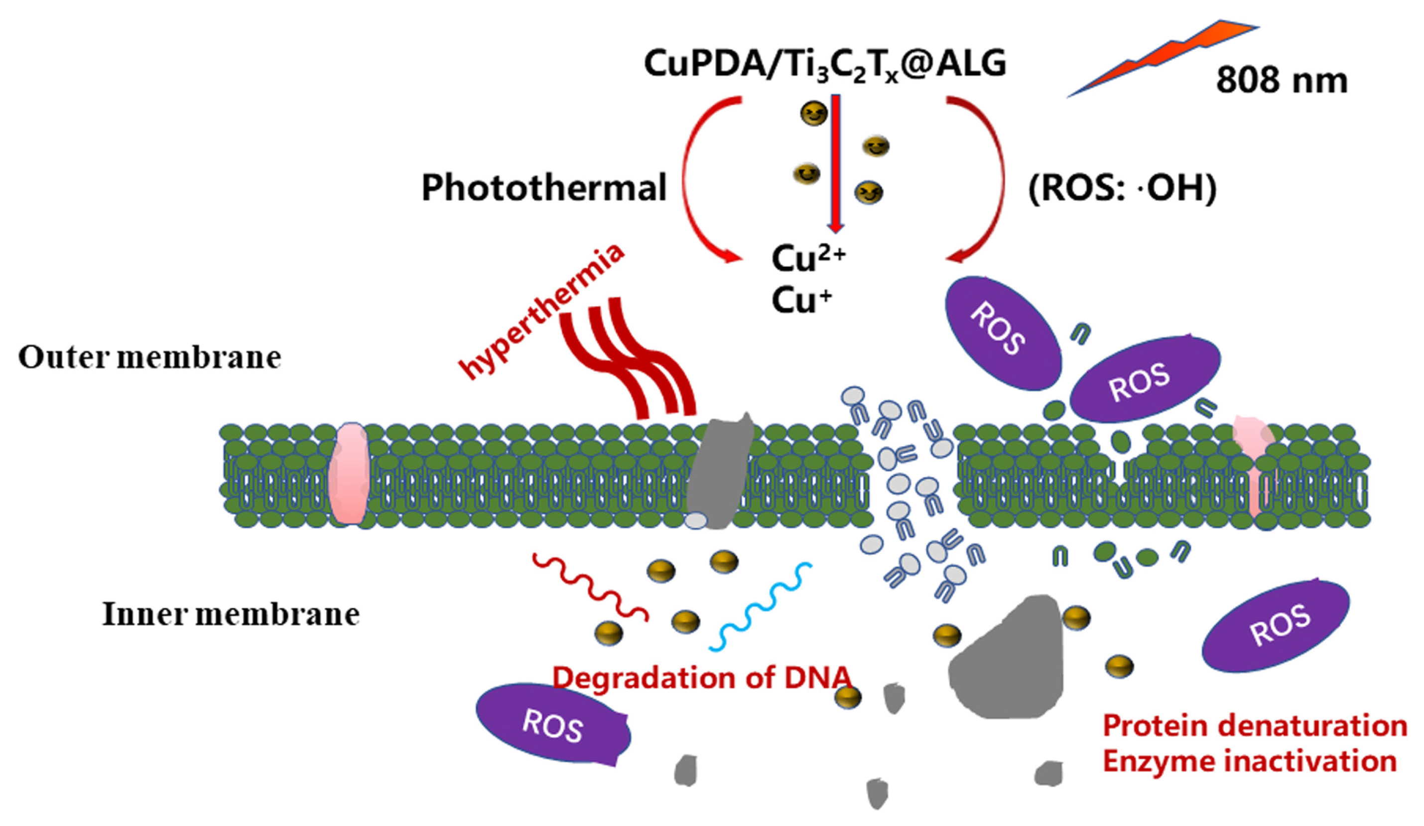 Materials 16 07583 g011