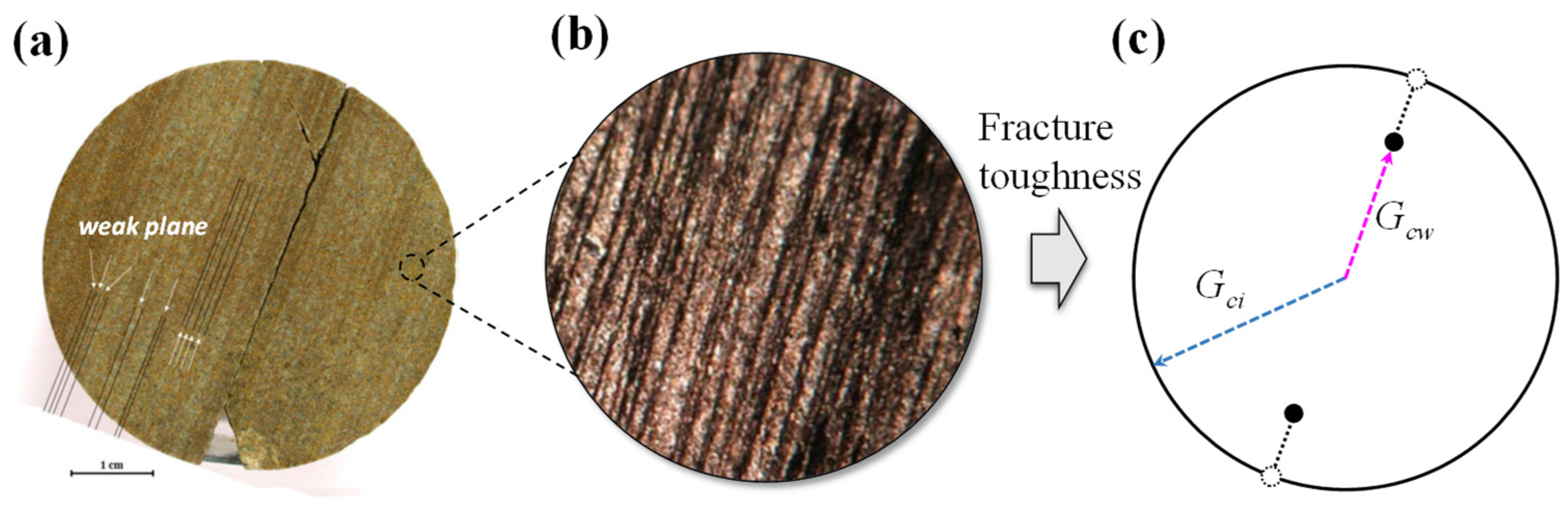 Materials 16 07604 g002