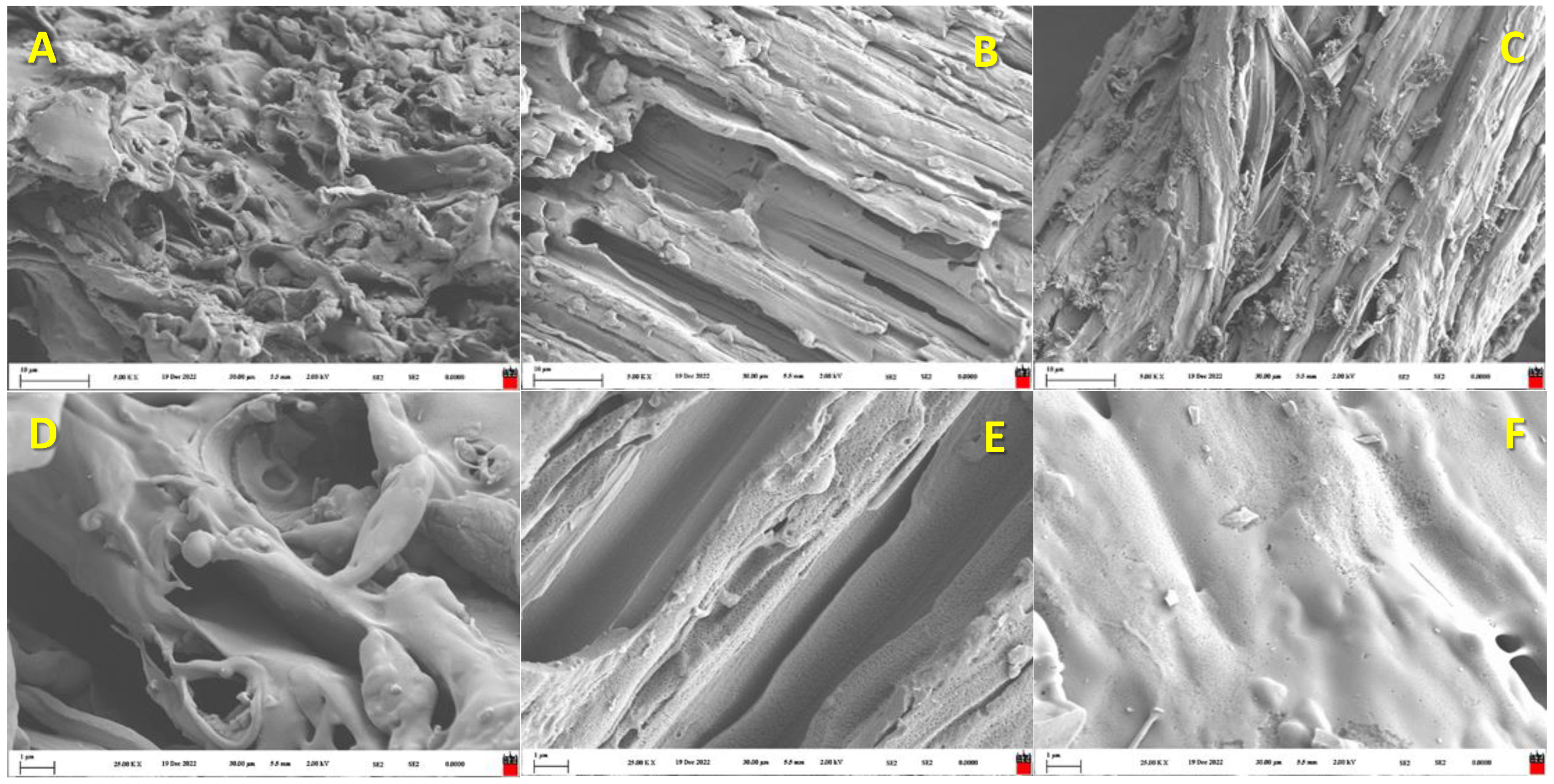 Materials 16 07658 g007