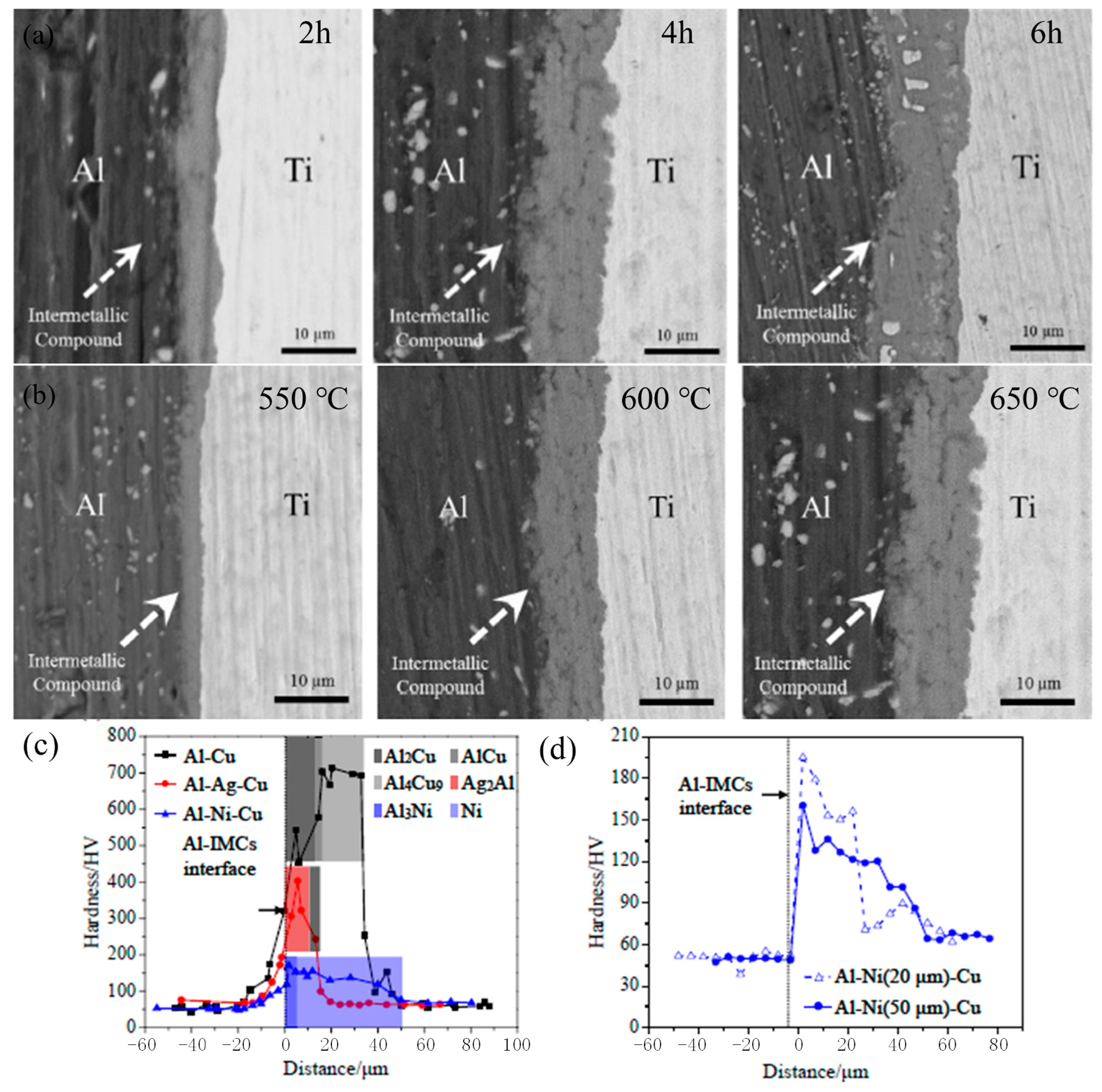 Materials 16 07672 g007