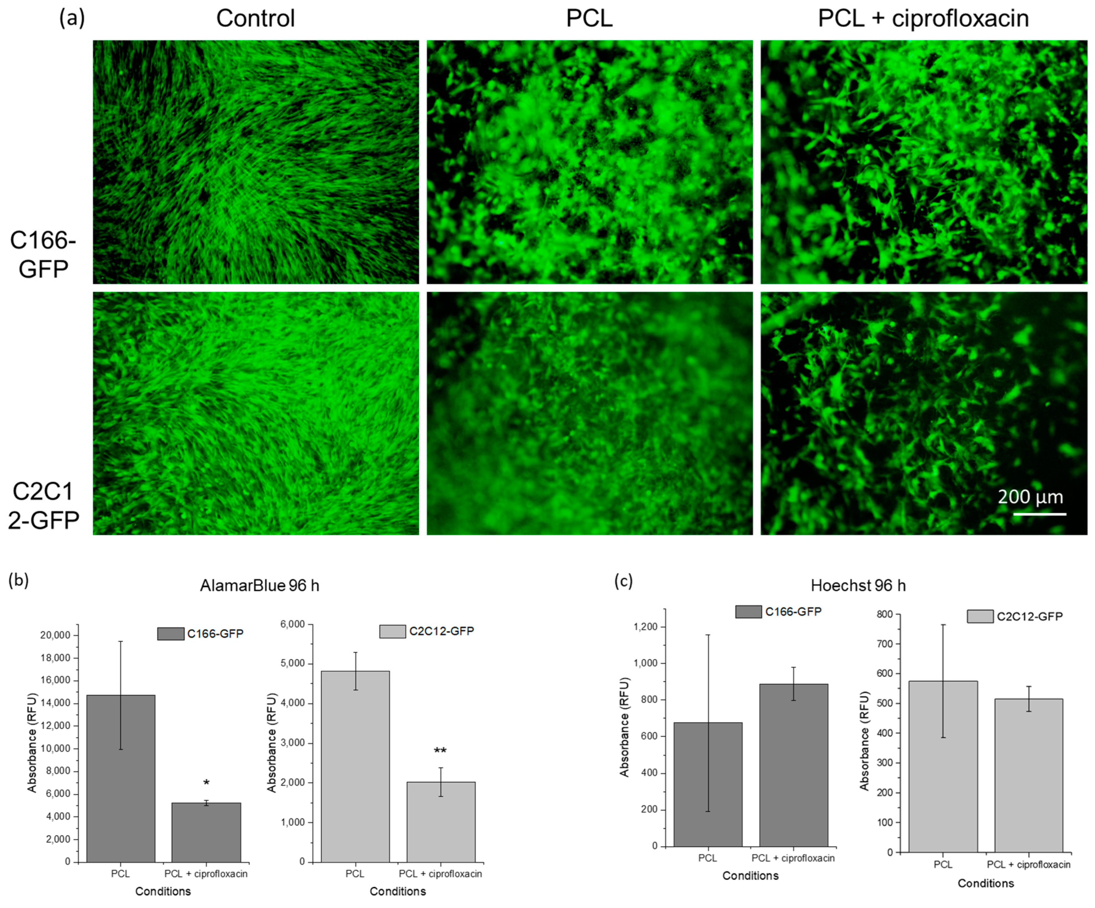 Materials 16 07688 g007