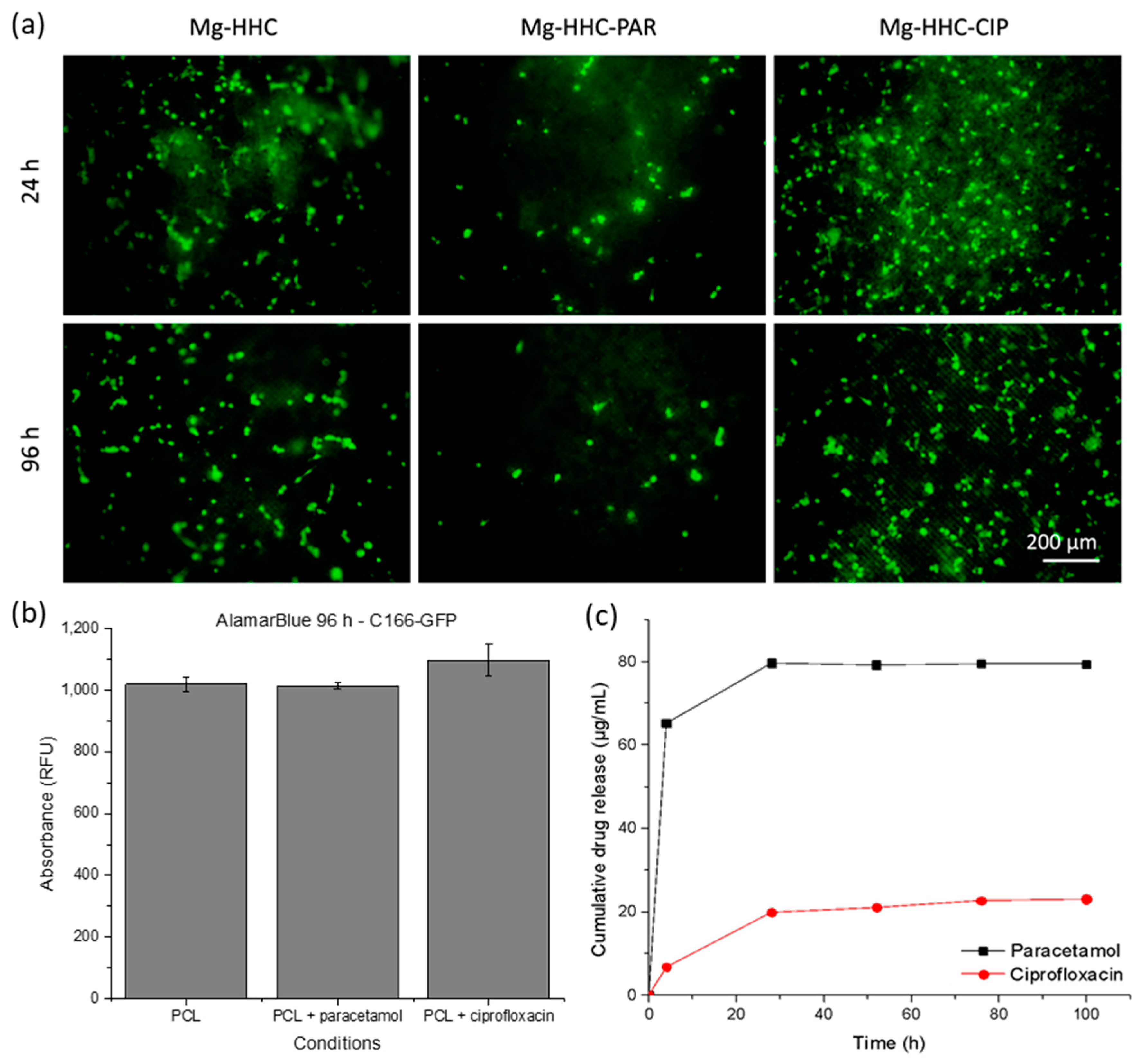Materials 16 07688 g008