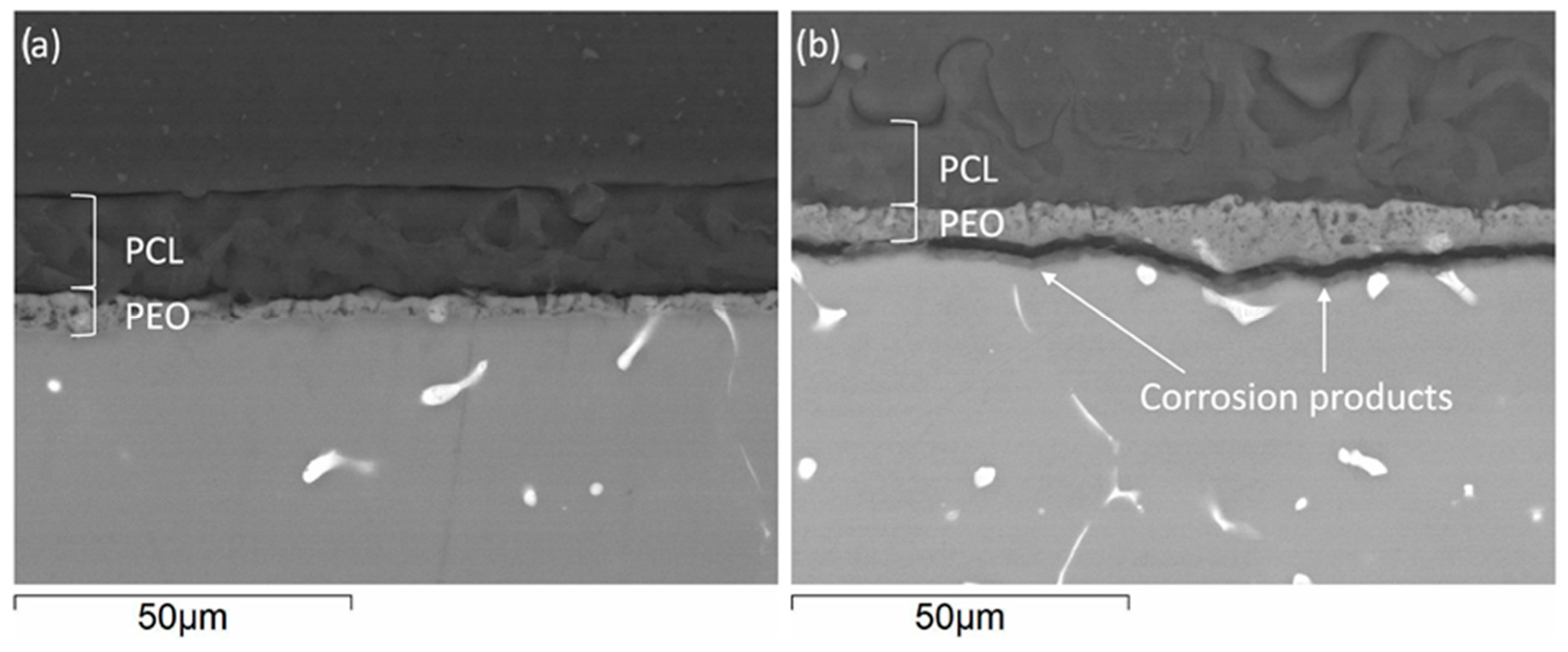 Materials 16 07688 g010
