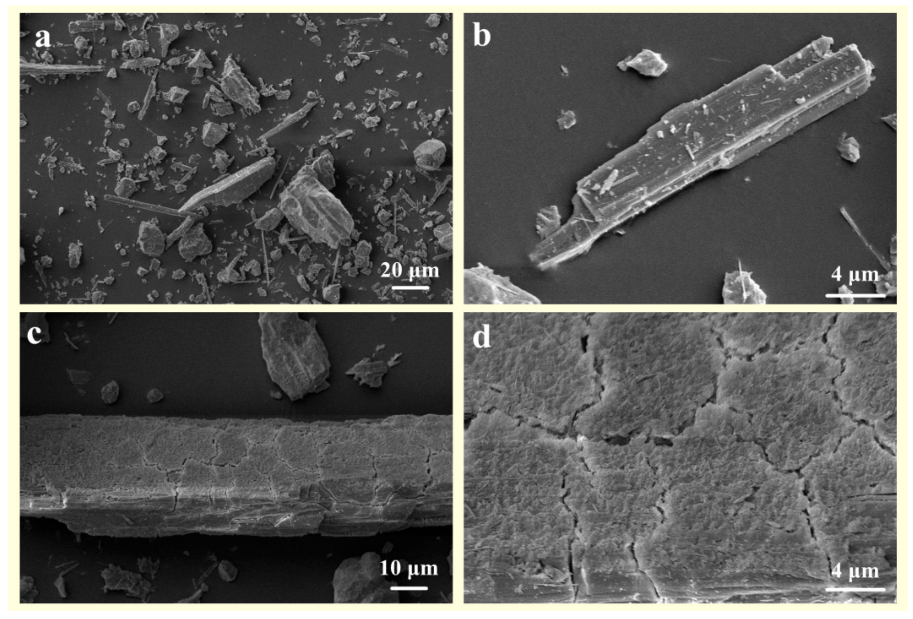 Materials 16 07704 g008