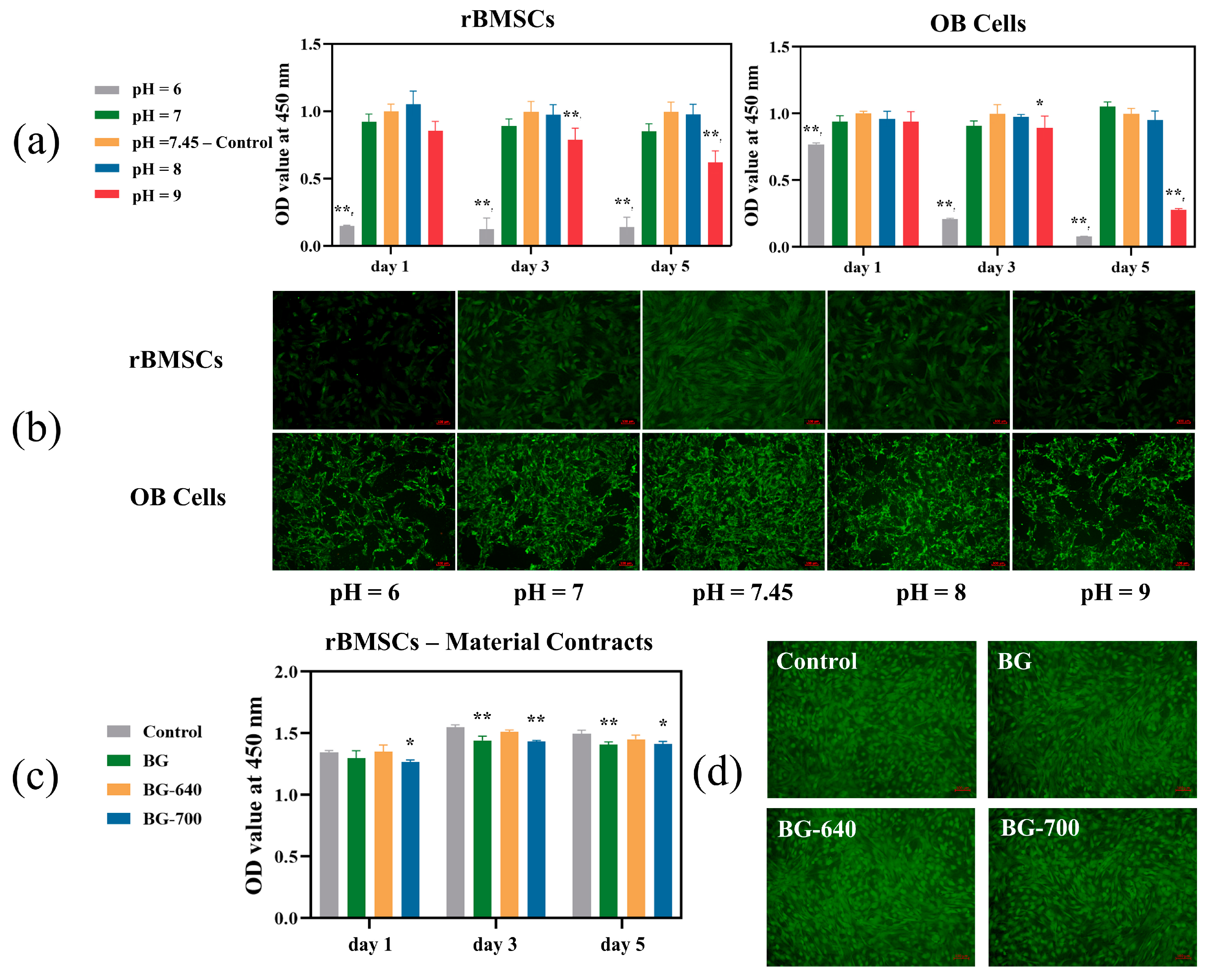 Materials 17 00032 g005