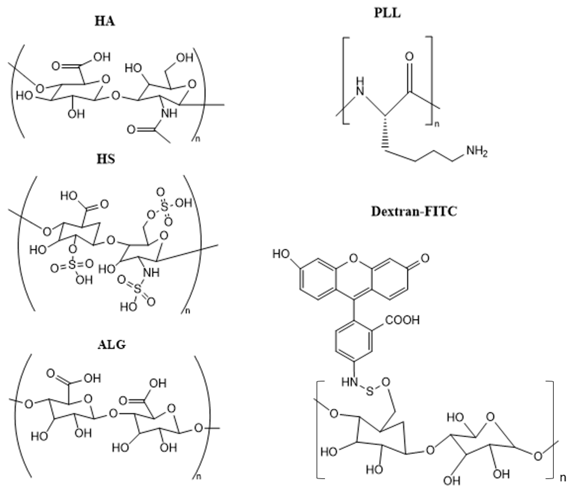 Materials 17 00103 g002