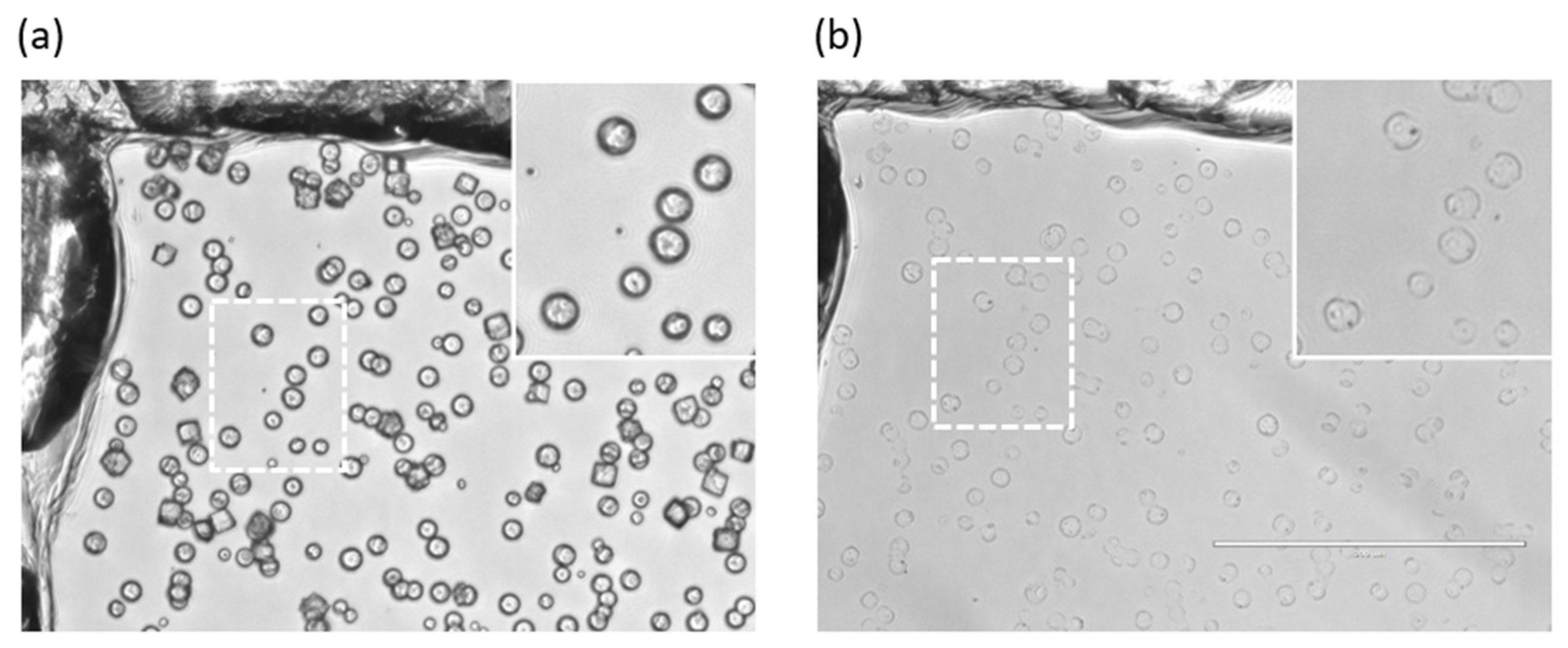 Materials 17 00103 g003