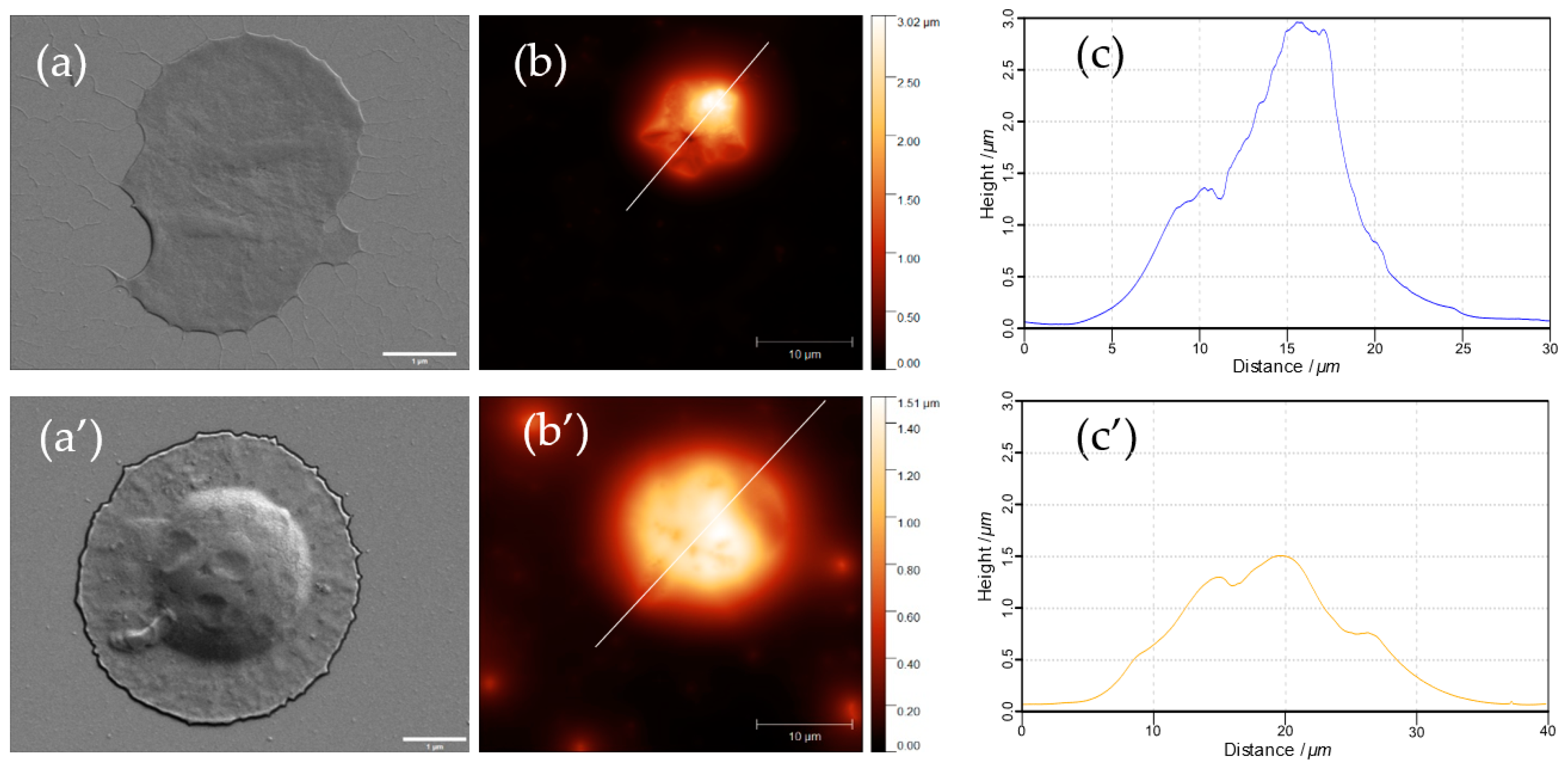 Materials 17 00103 g010