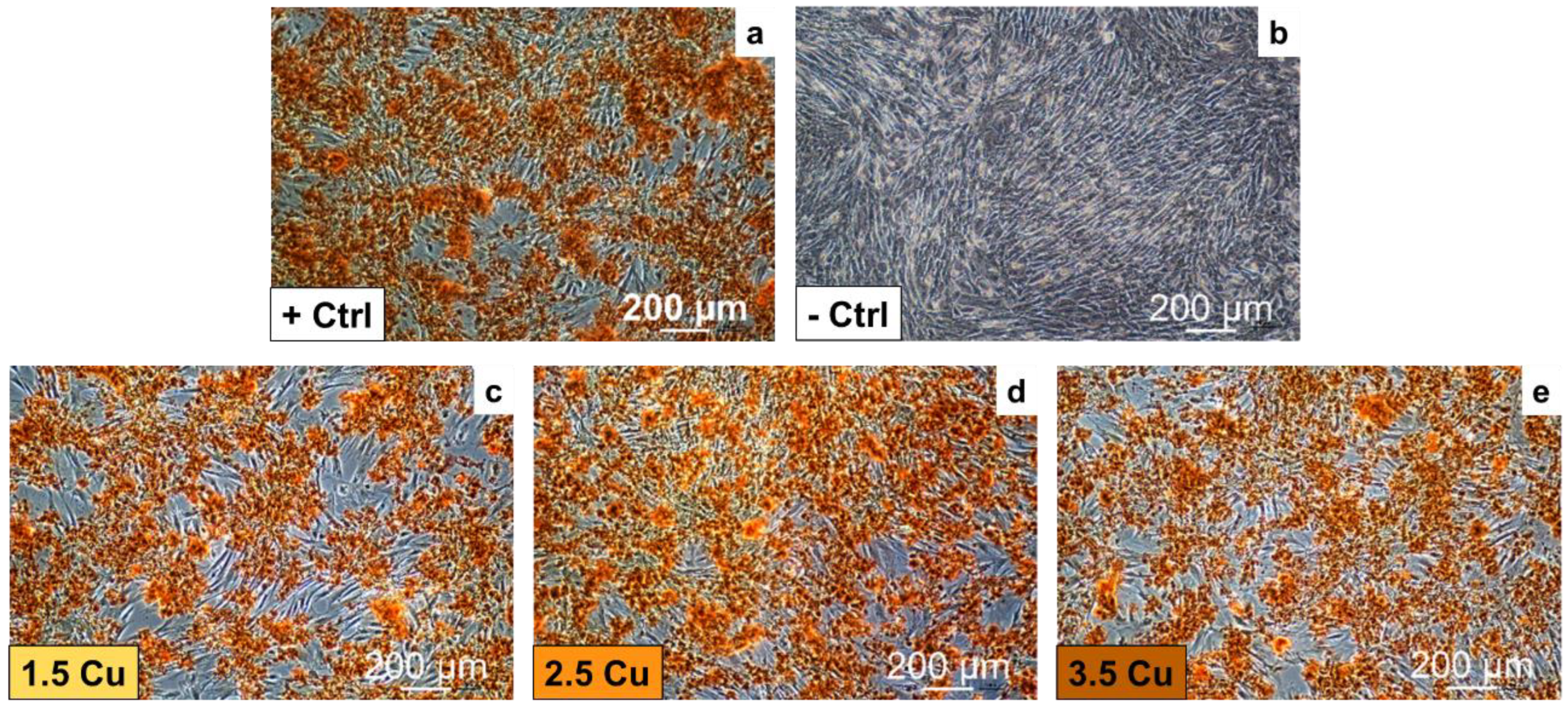 Materials 17 00156 g014