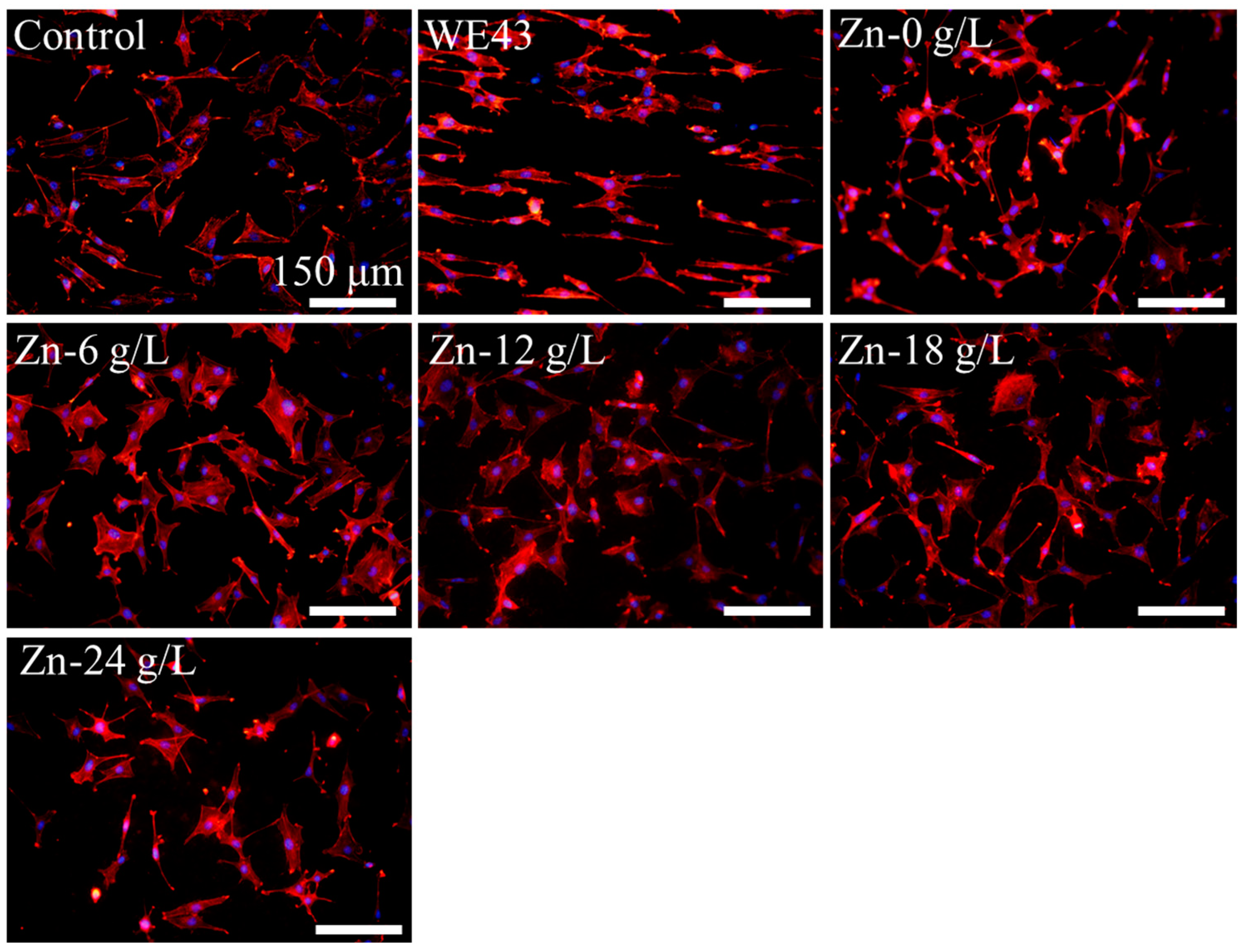 Materials 17 00209 g004
