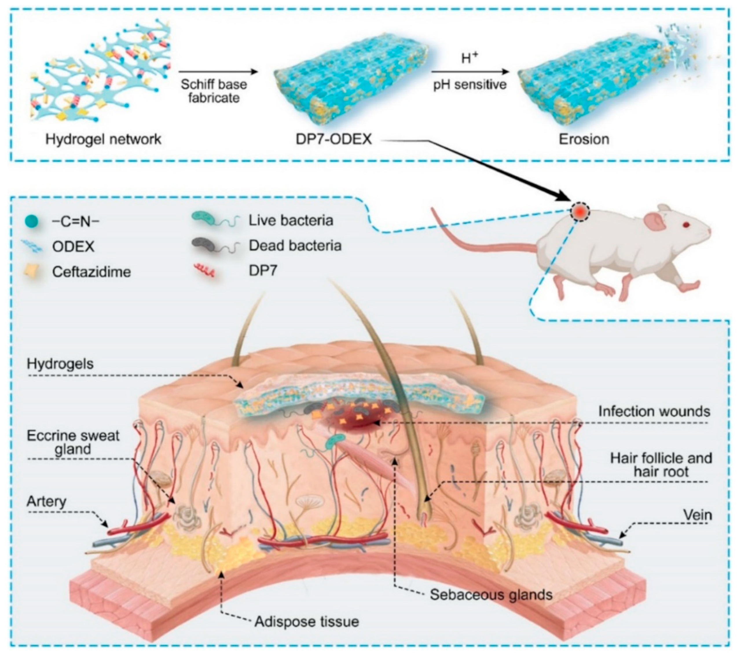 Materials 17 00278 g005