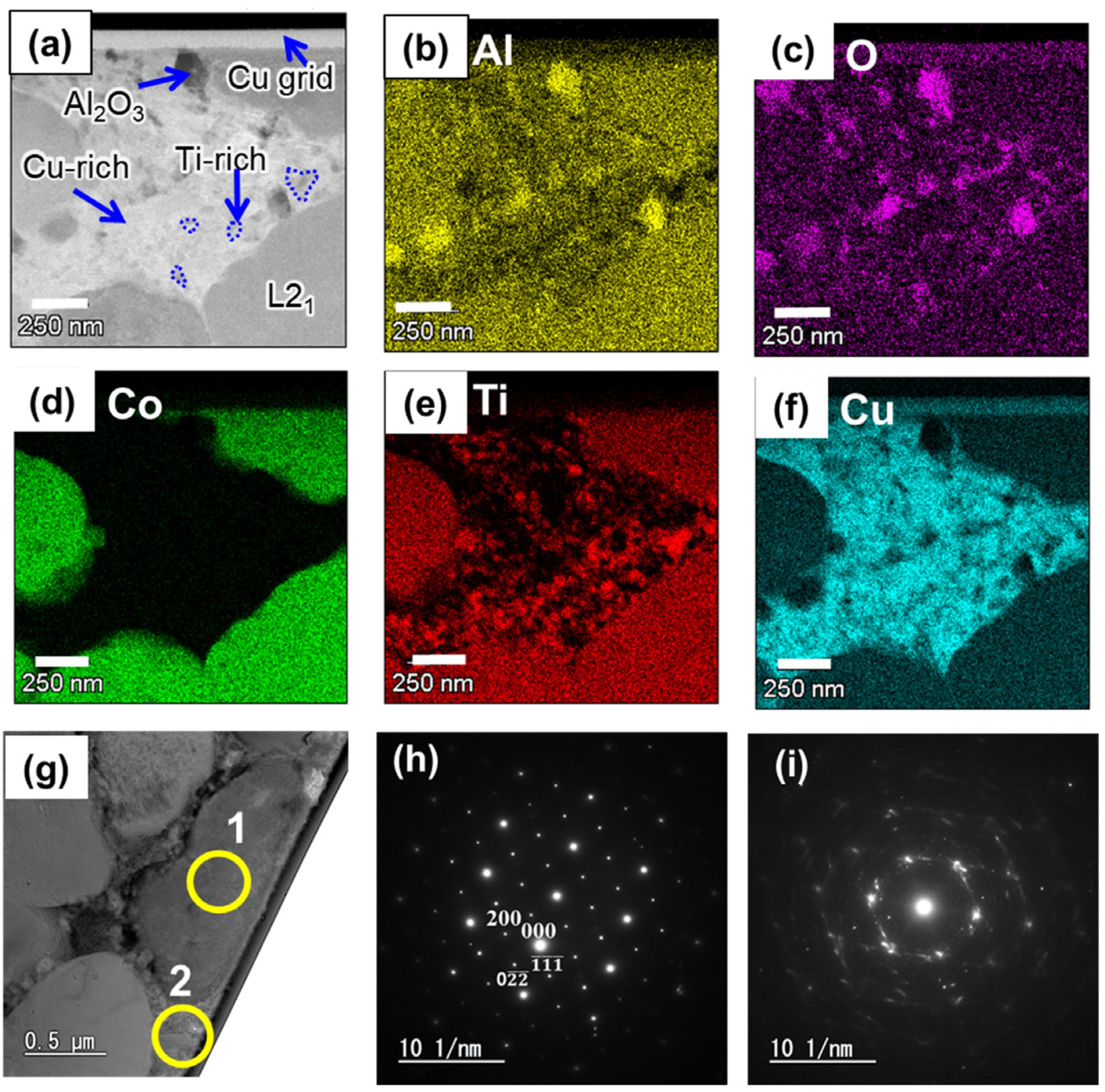 Materials 17 00304 g006