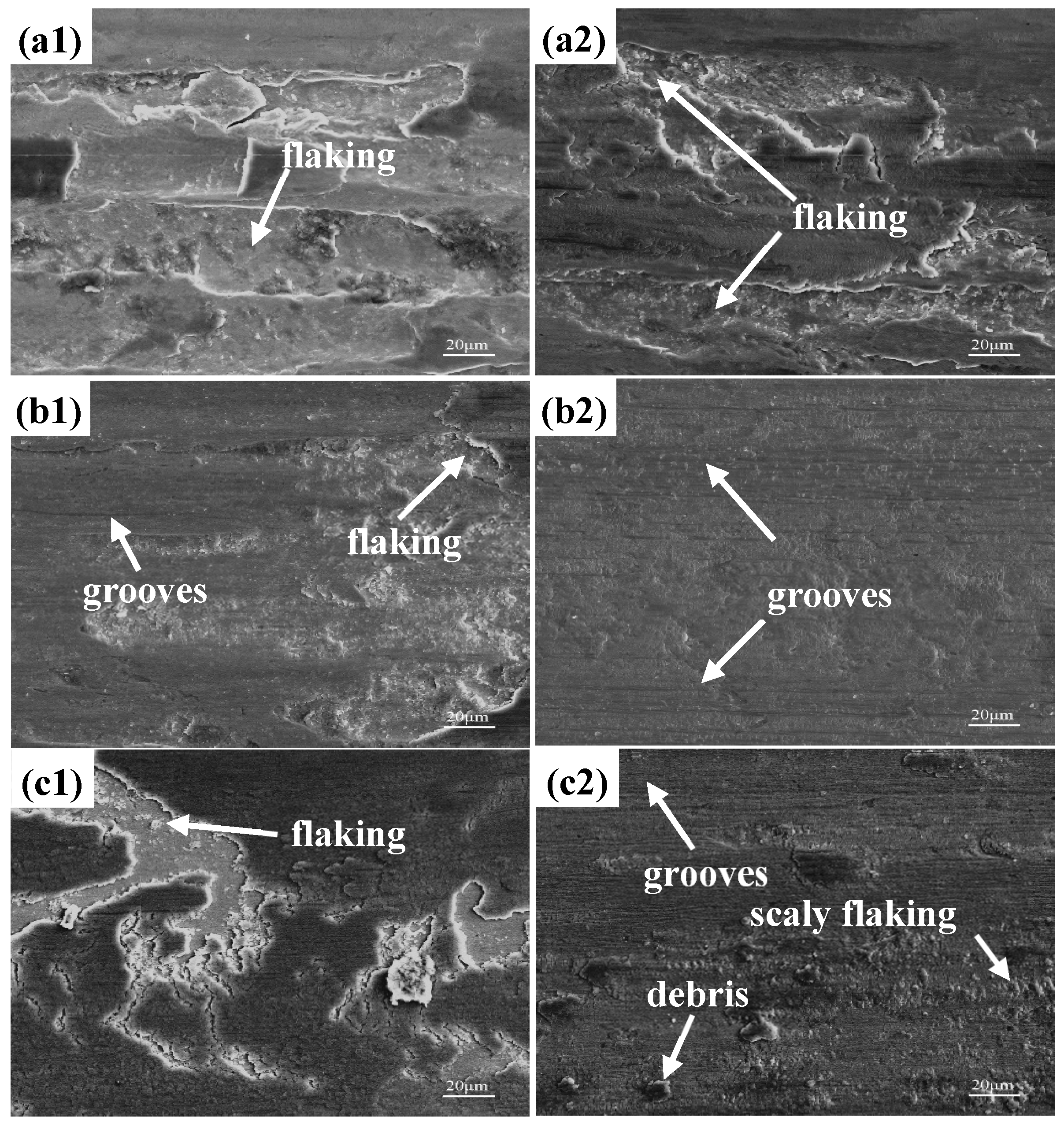 Materials 17 00308 g008