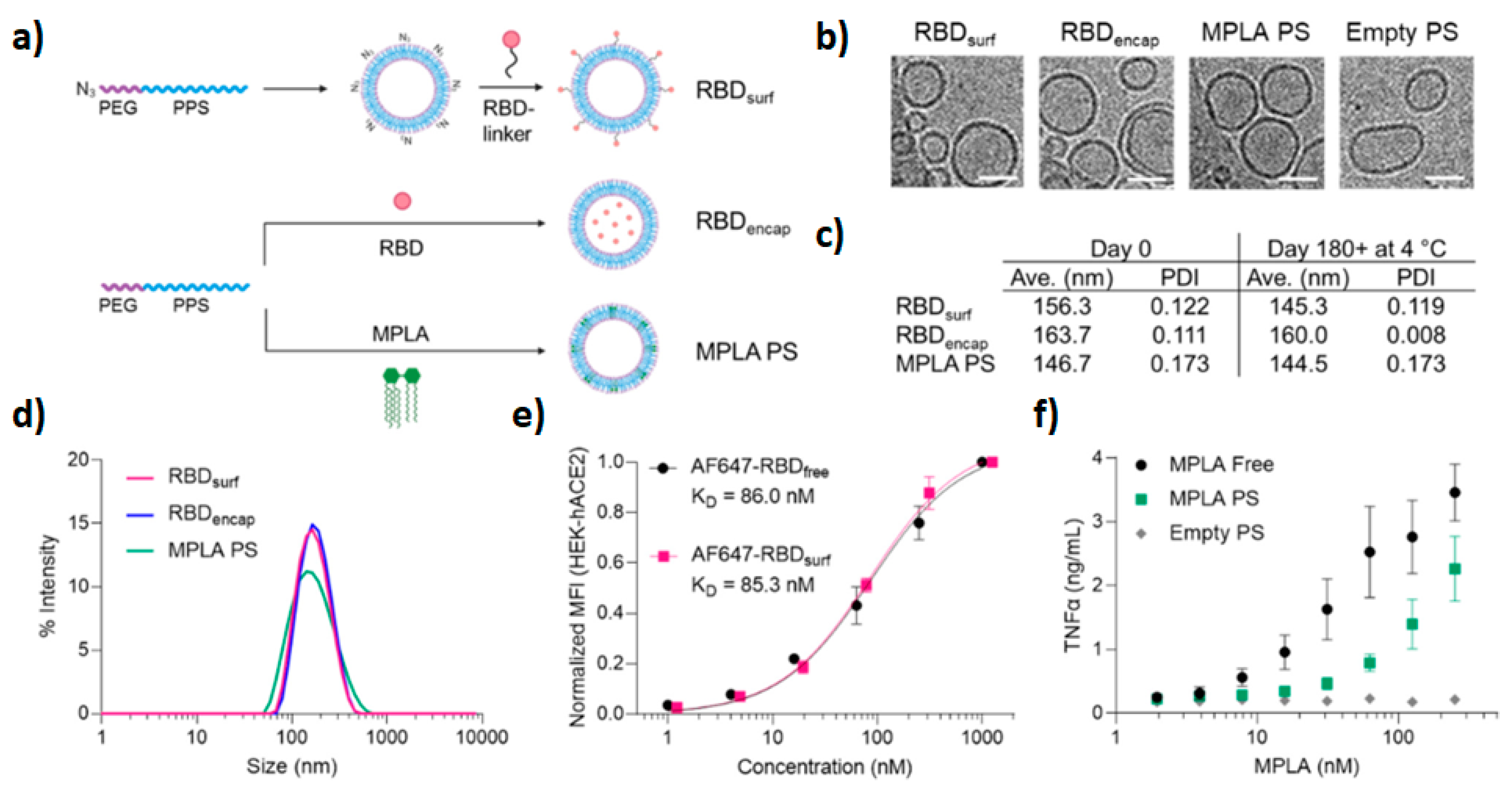 Materials 17 00319 g003