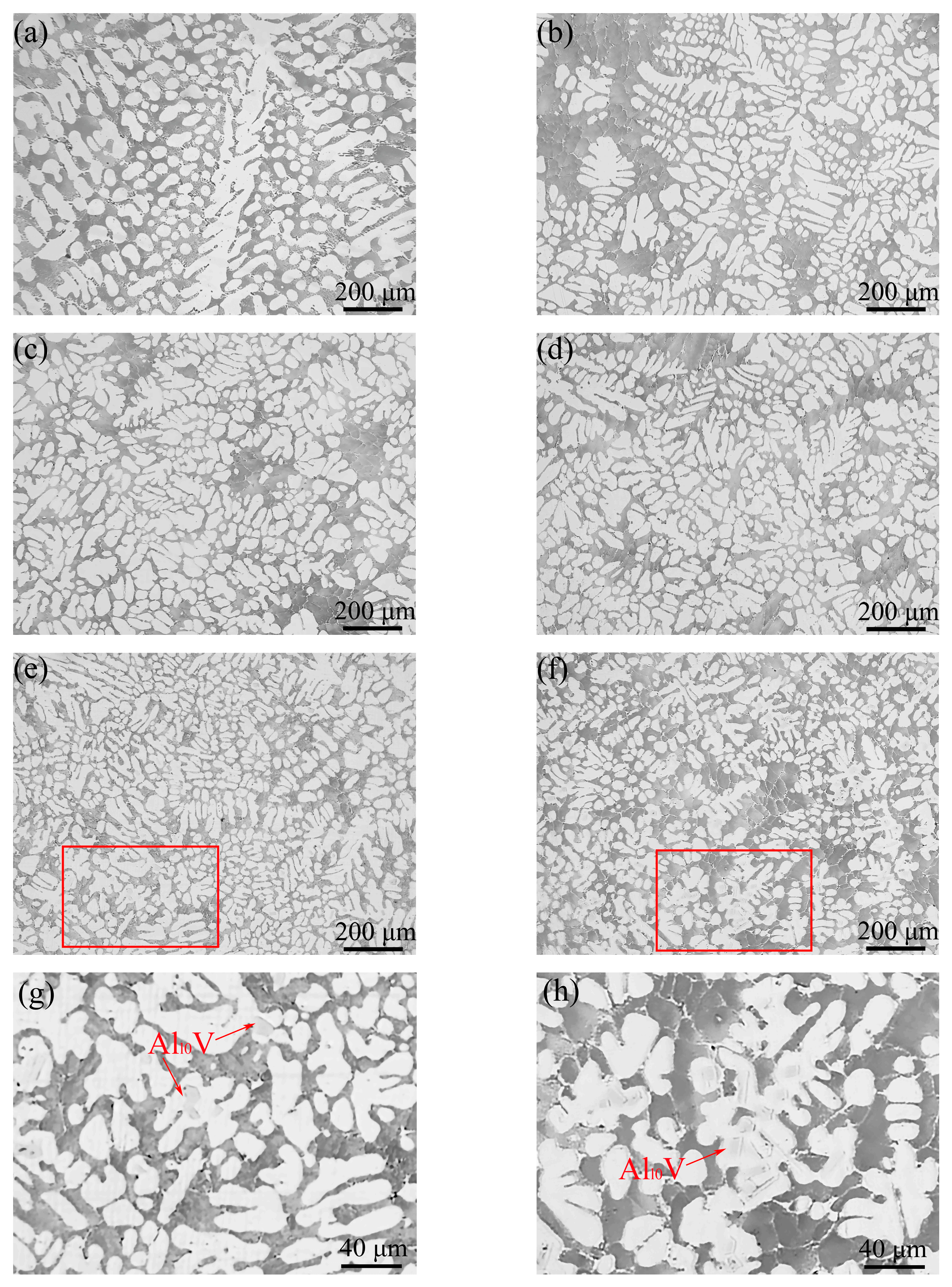 Materials 17 00332 g008