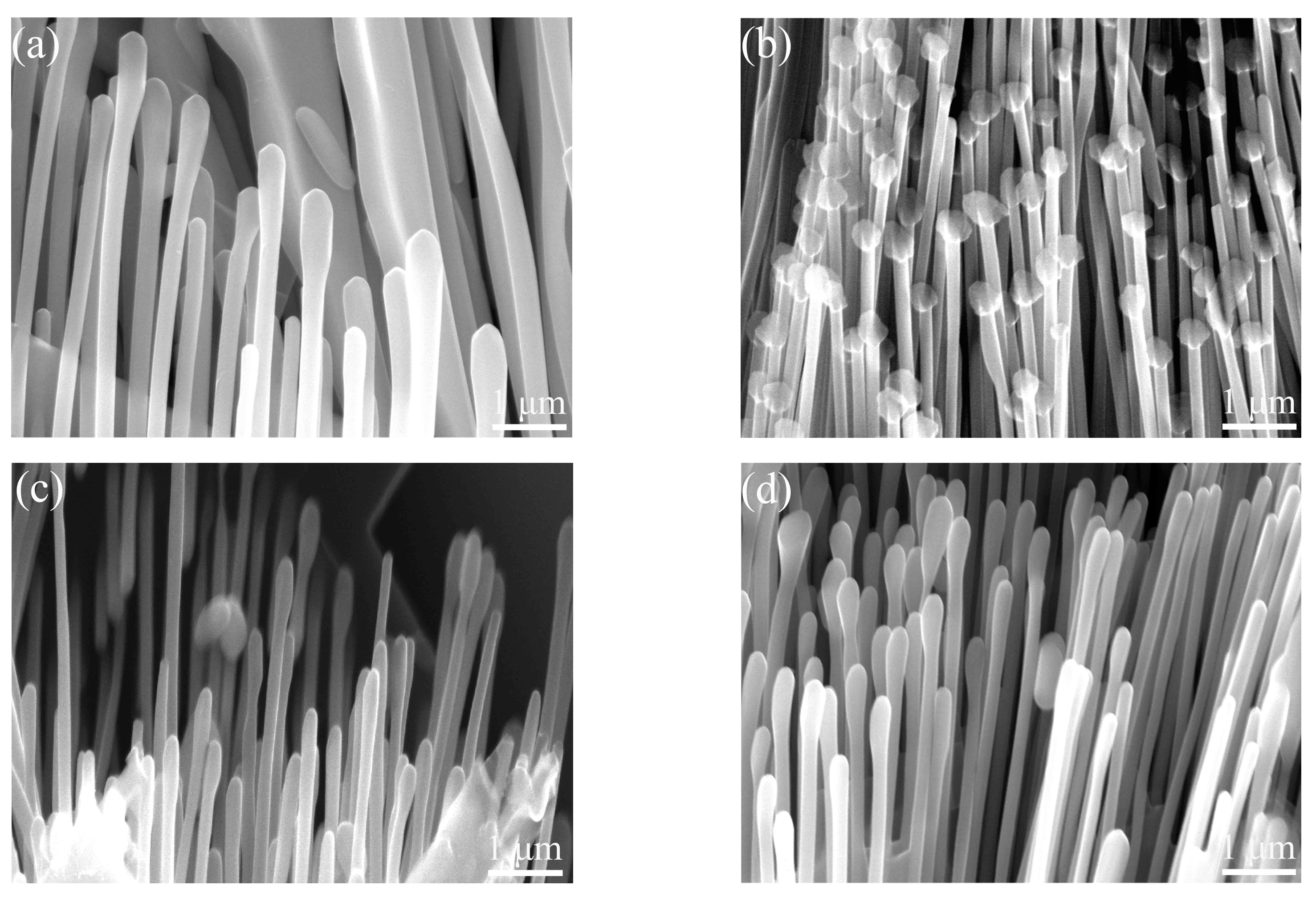 Materials 17 00332 g012