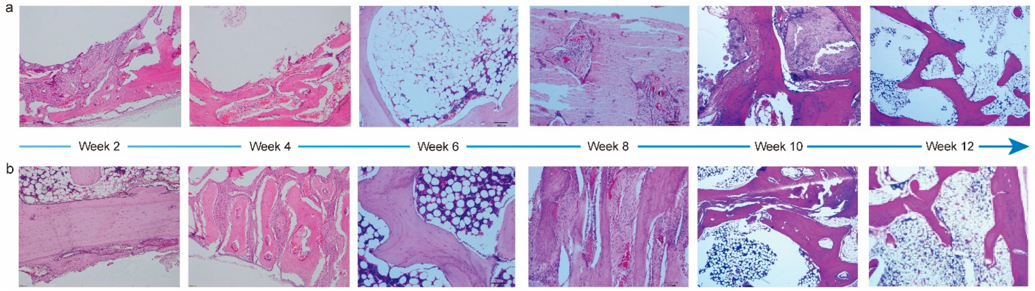 Materials 17 00352 g005