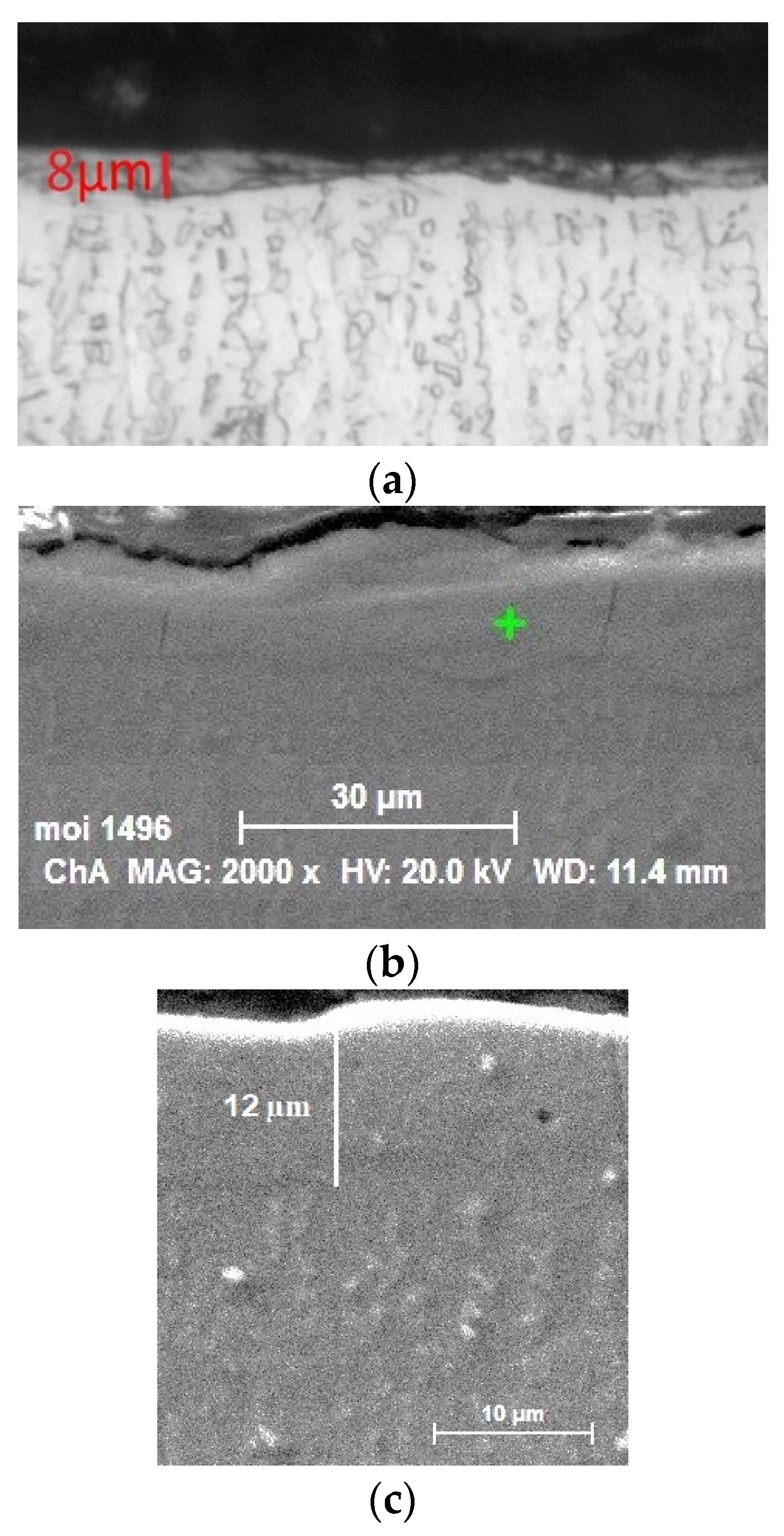 Materials 17 00382 g006