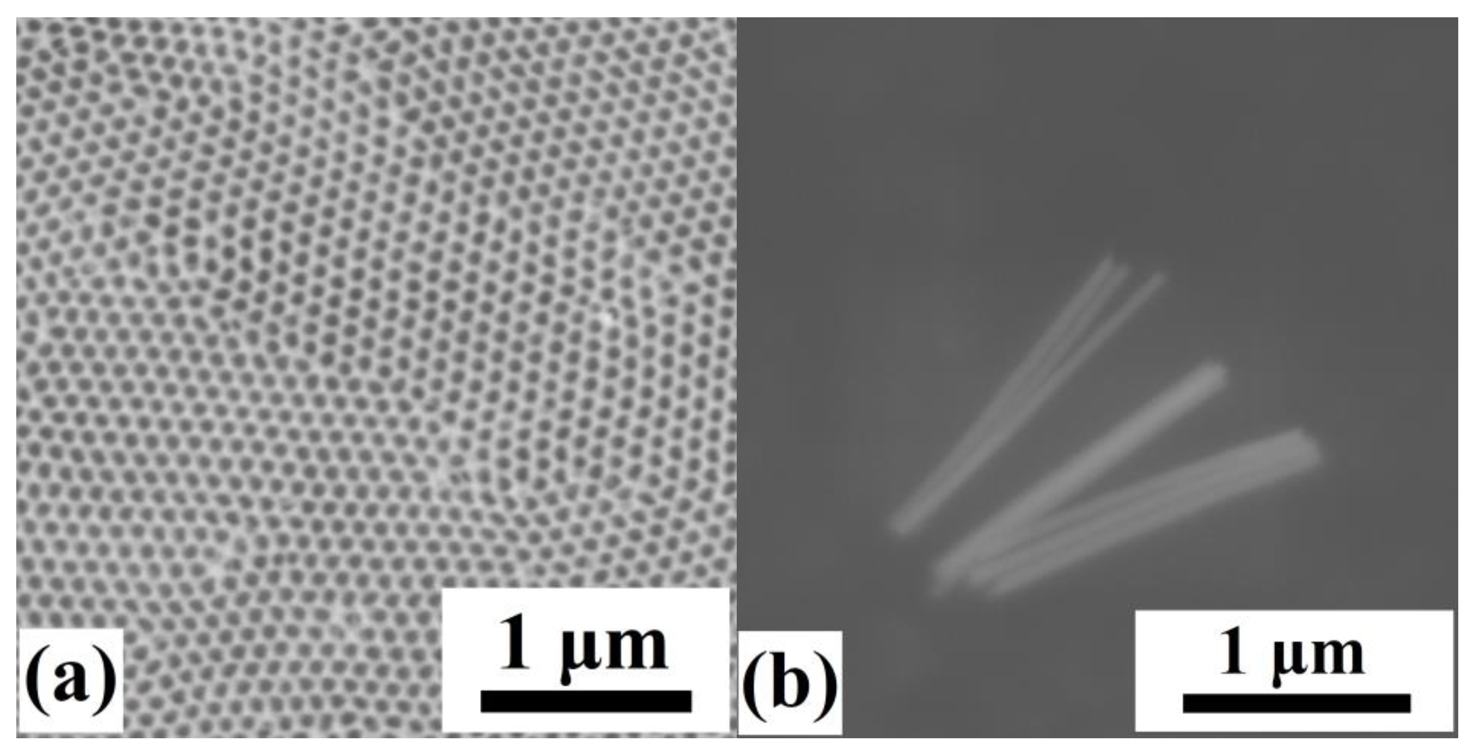 Materials 17 00407 g004