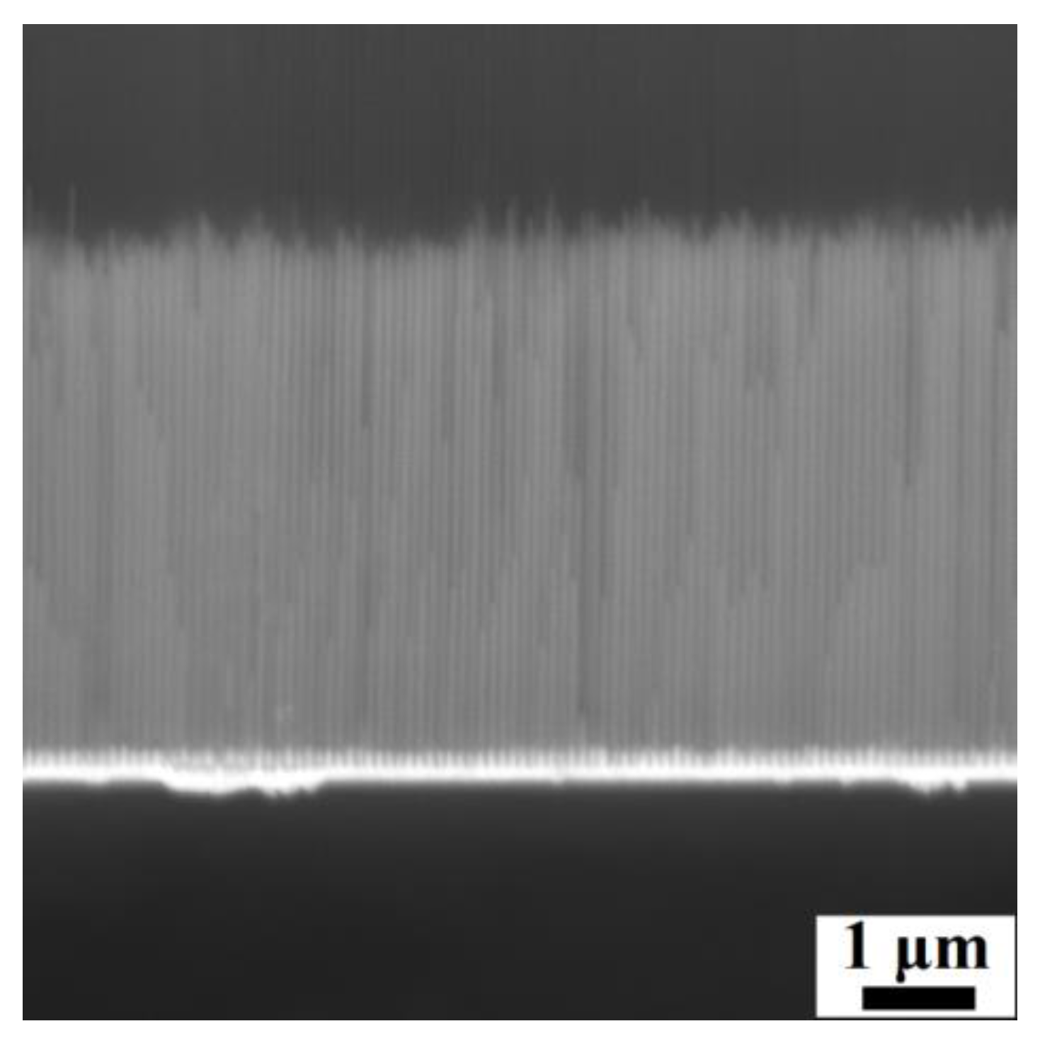 Materials 17 00407 g016