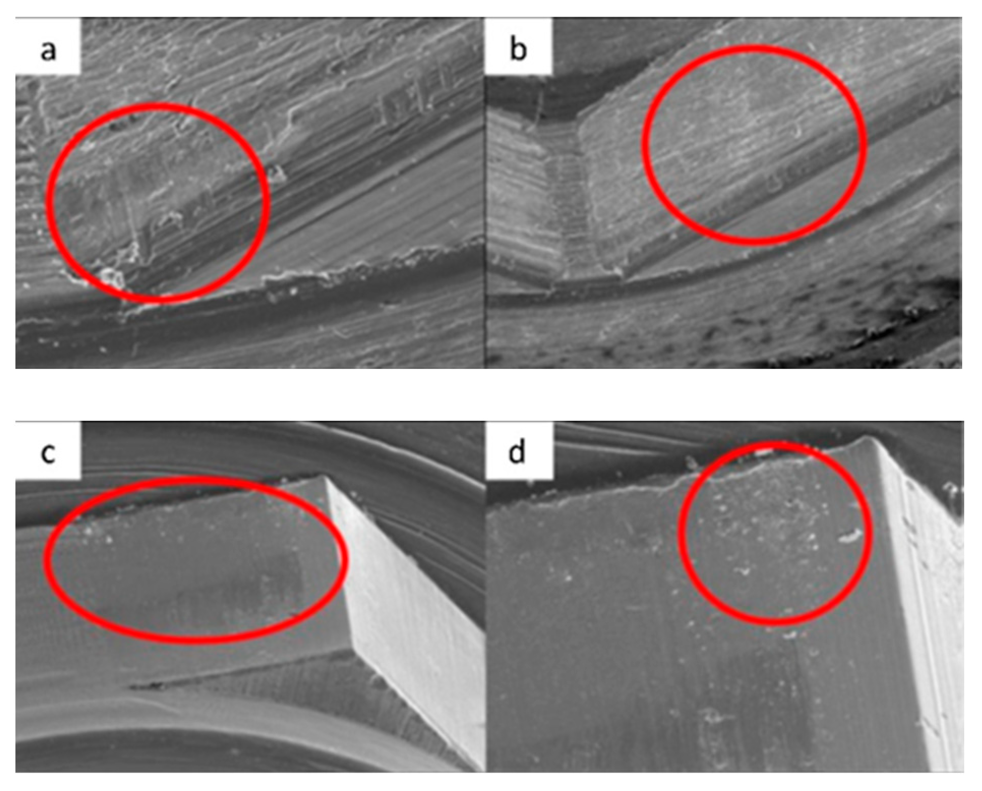 Materials 17 00434 g005