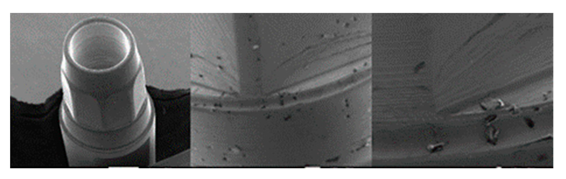 Materials 17 00434 g008