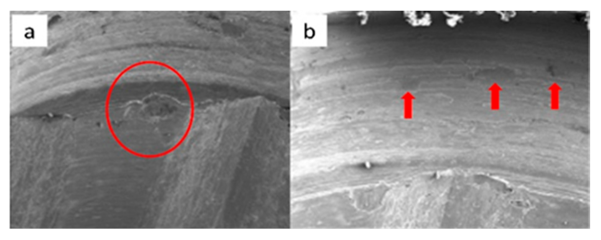 Materials 17 00434 g010a