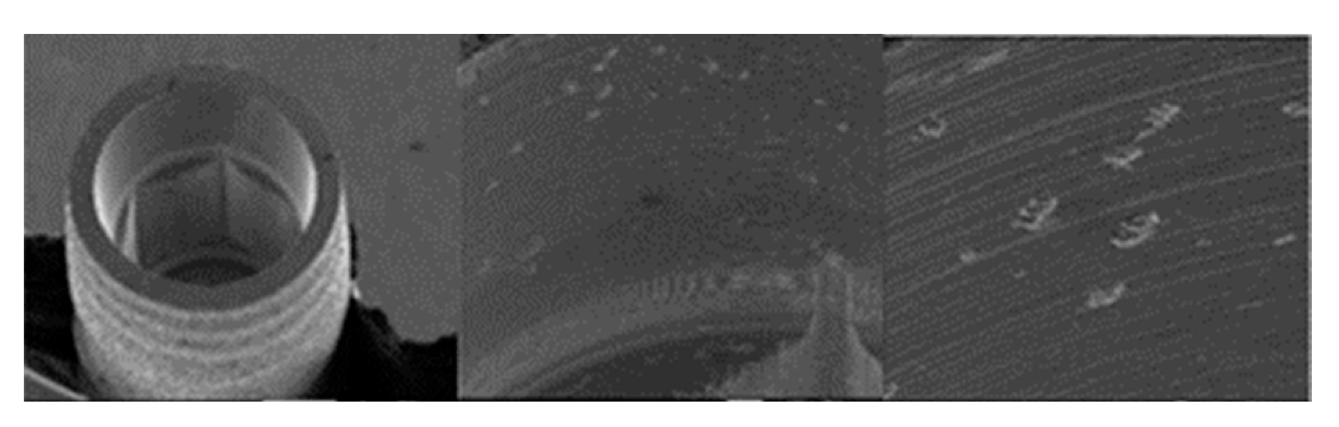 Materials 17 00434 g017