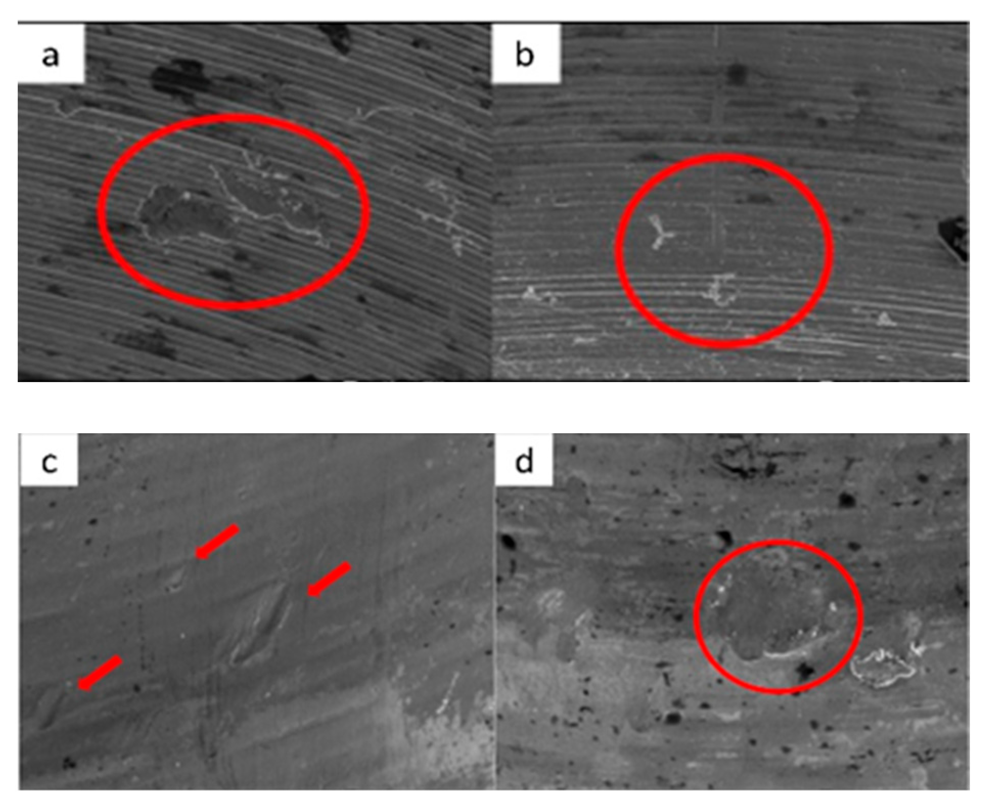 Materials 17 00434 g019