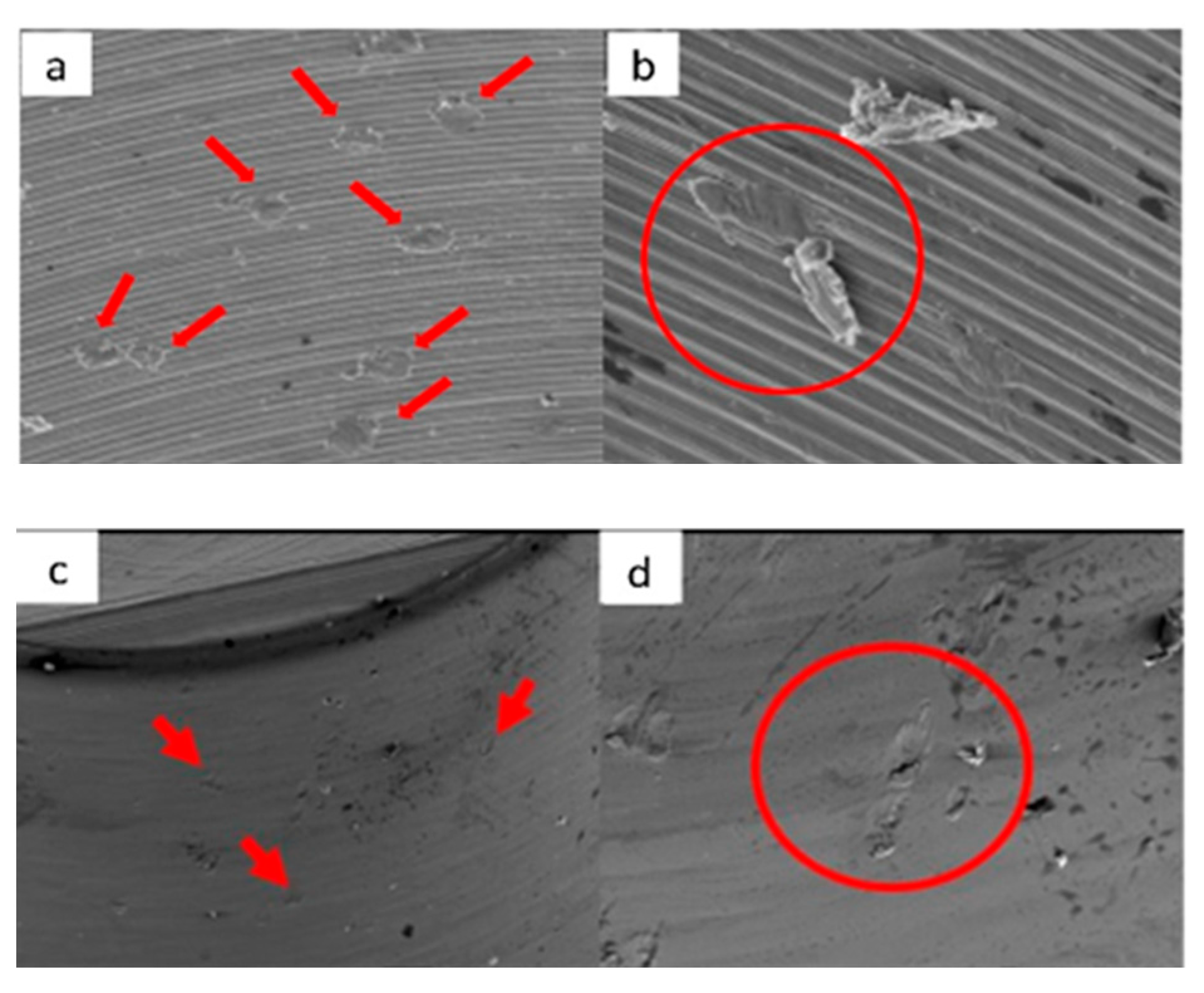 Materials 17 00434 g020