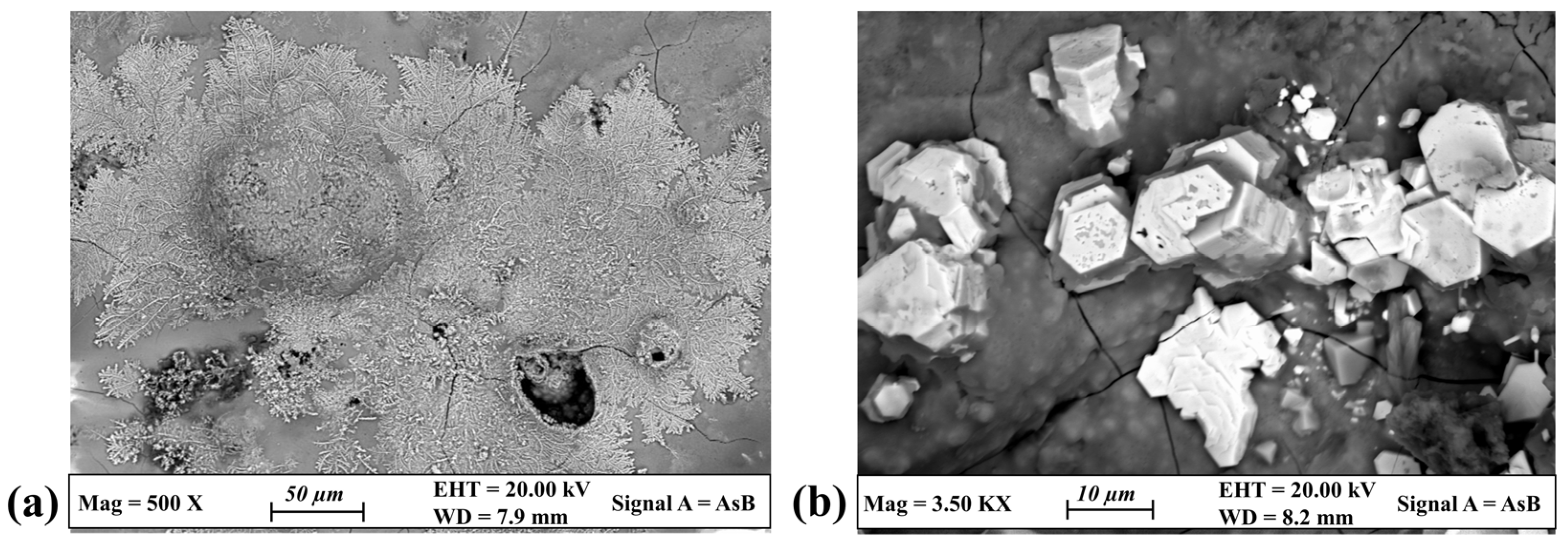 Materials 17 00442 g005