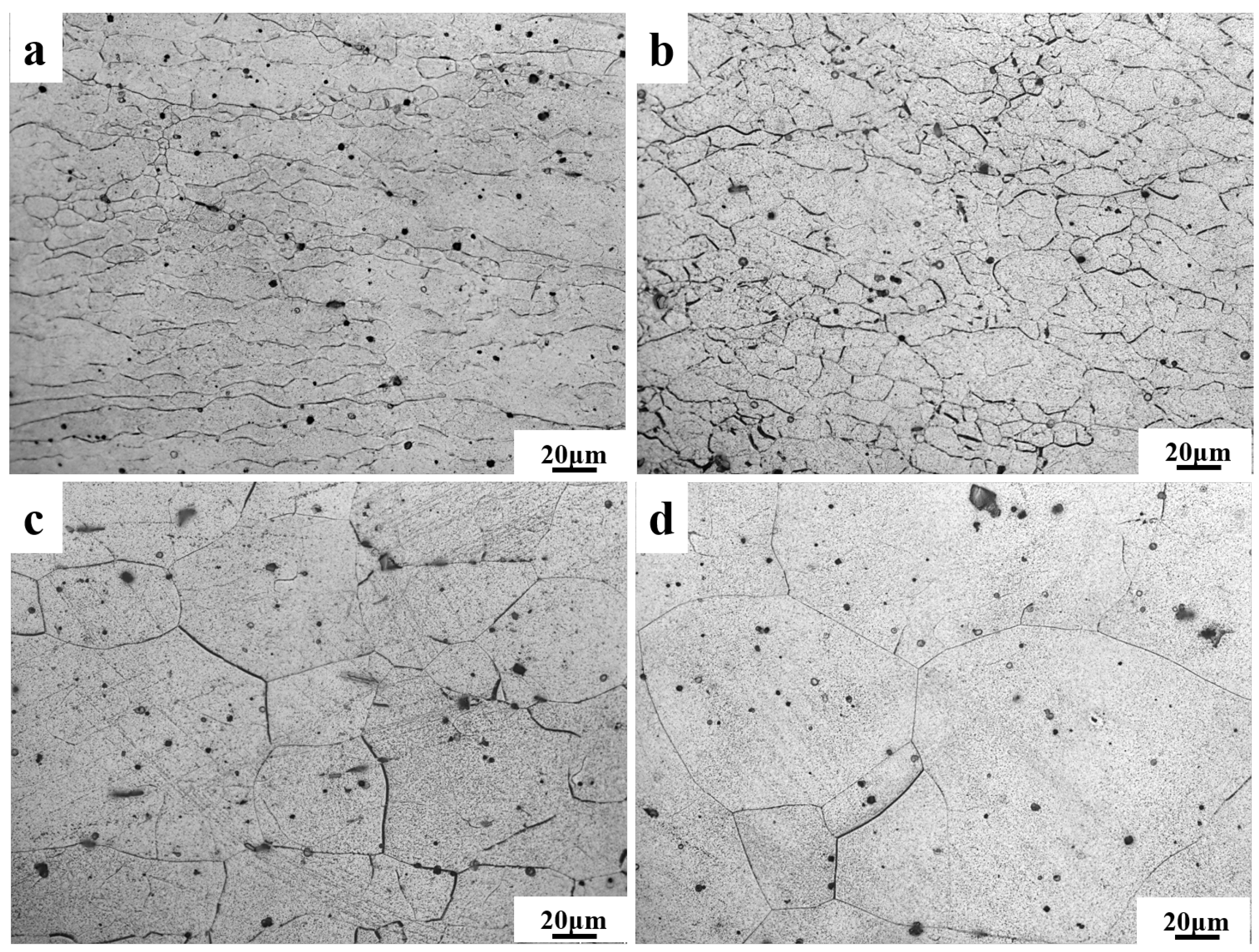 Materials 17 00489 g002