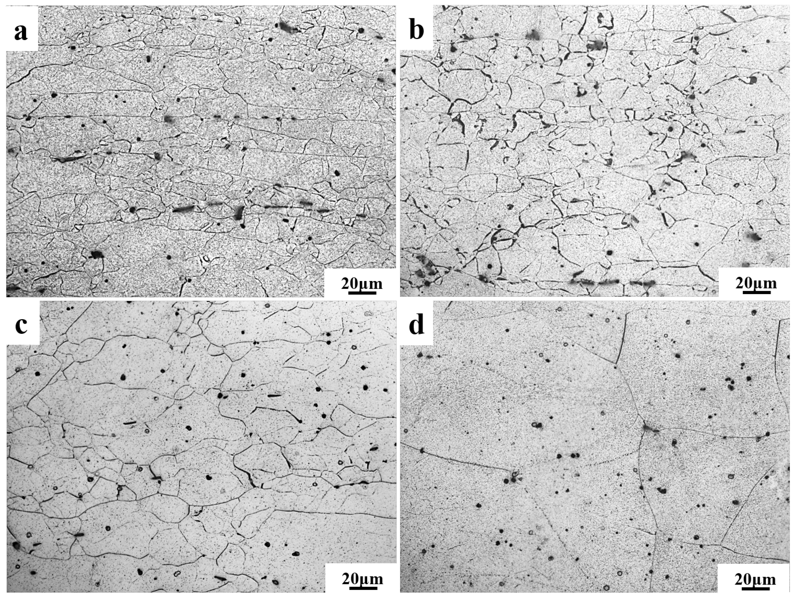 Materials 17 00489 g004