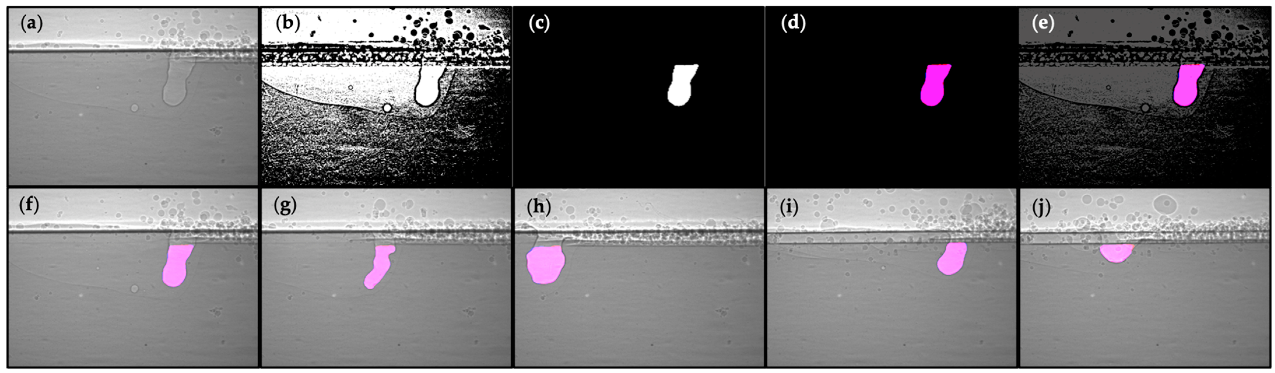 Materials 17 00510 g003