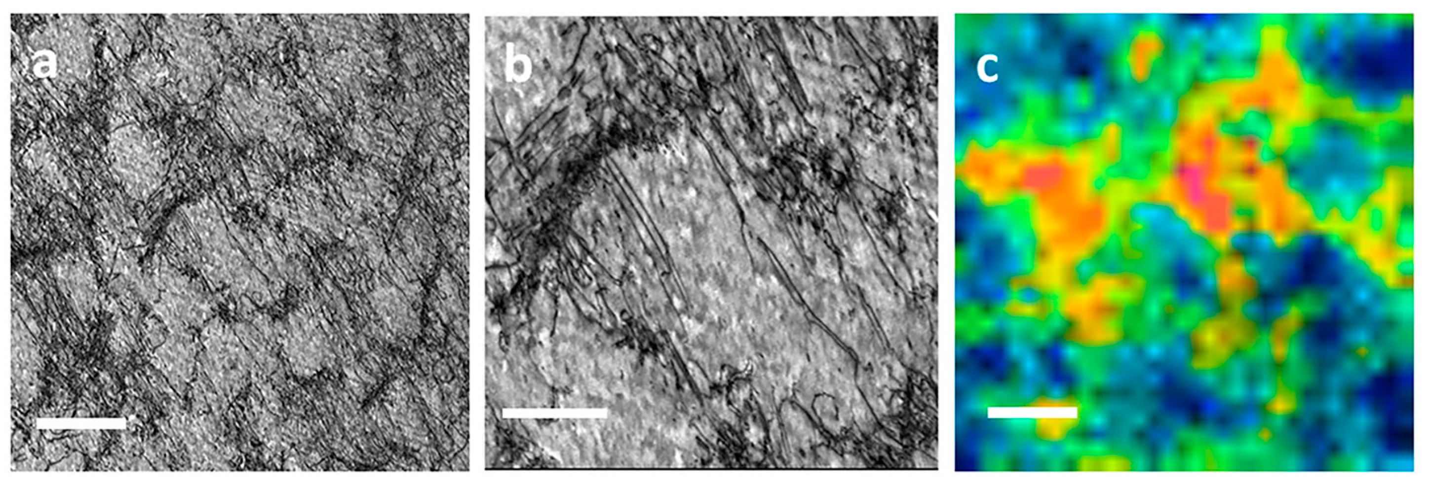 Materials 17 00528 g006 Materials 17 00528 g006