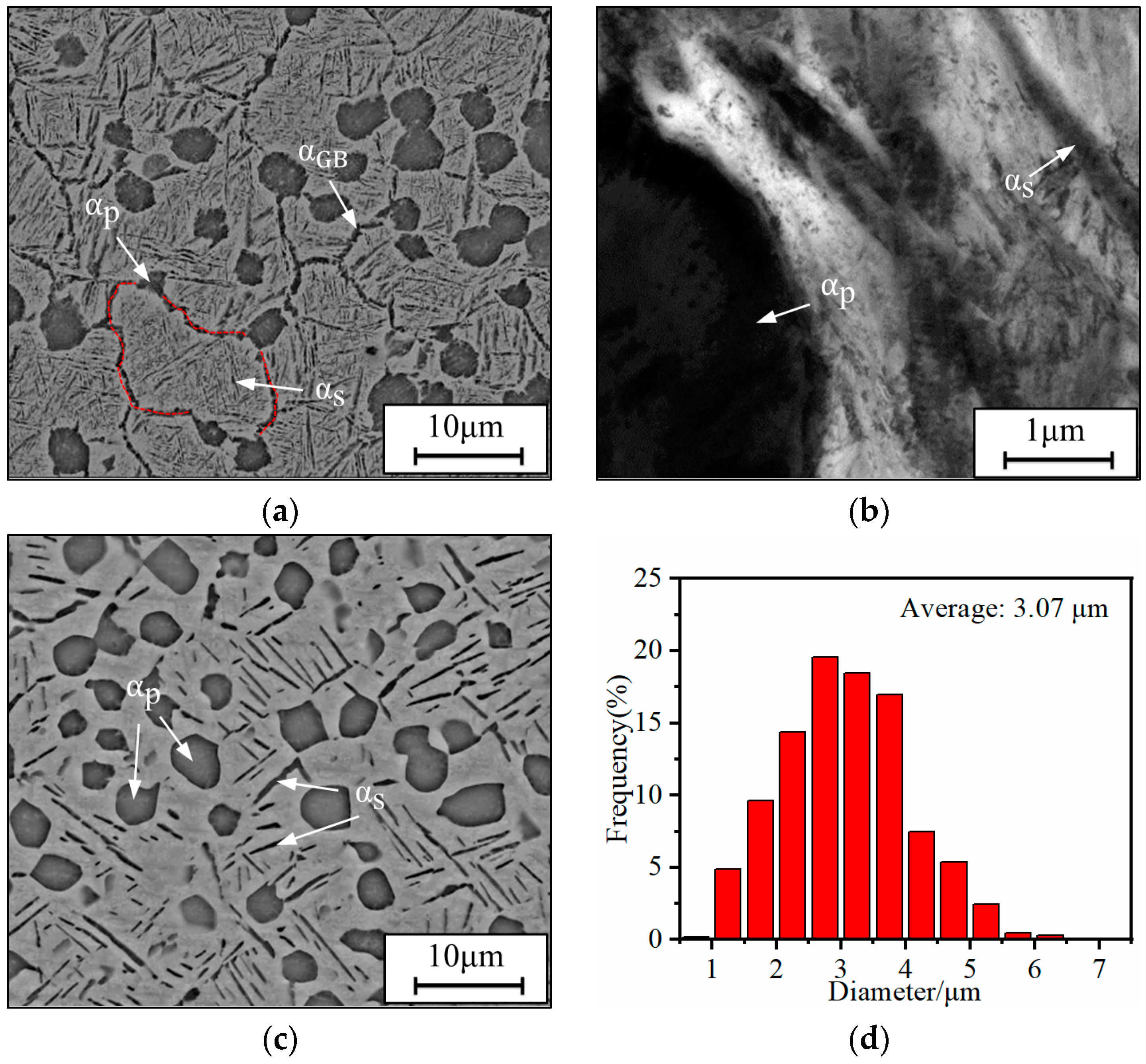 Materials 17 00570 g001