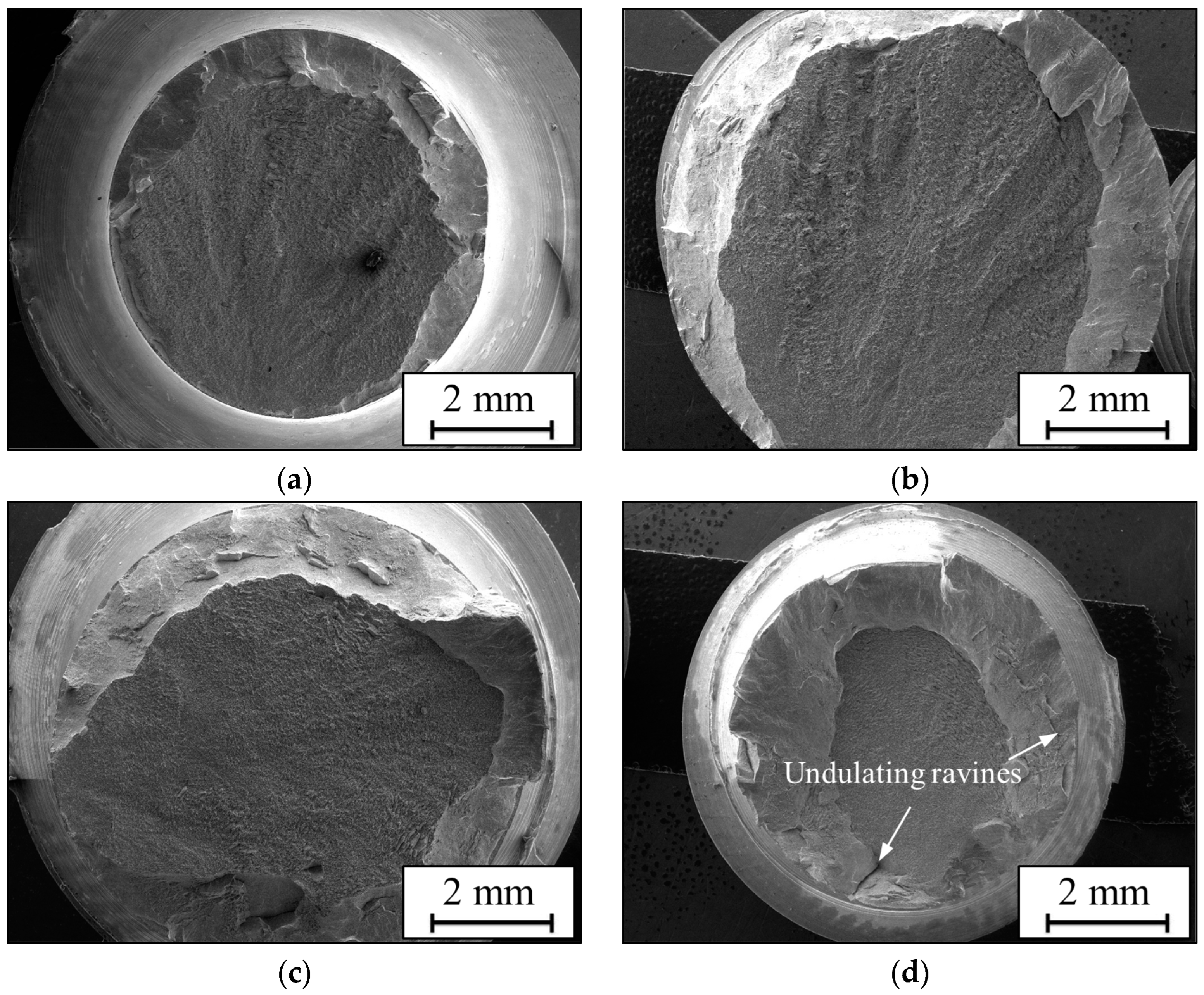 Materials 17 00570 g007