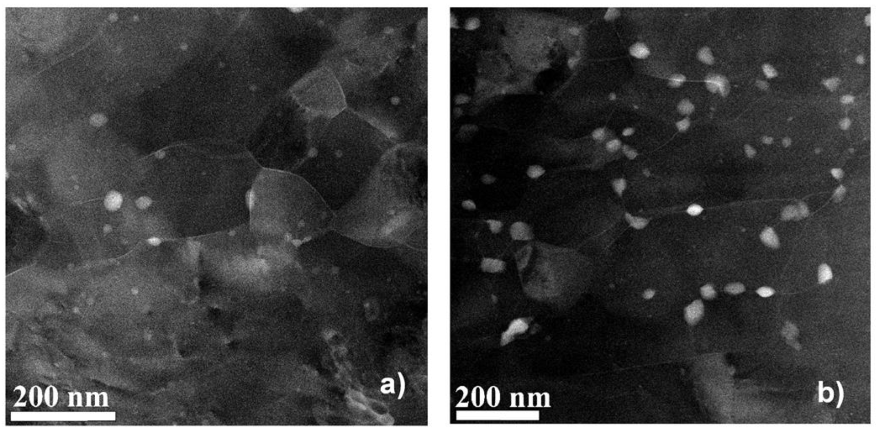 Materials 17 00585 g003