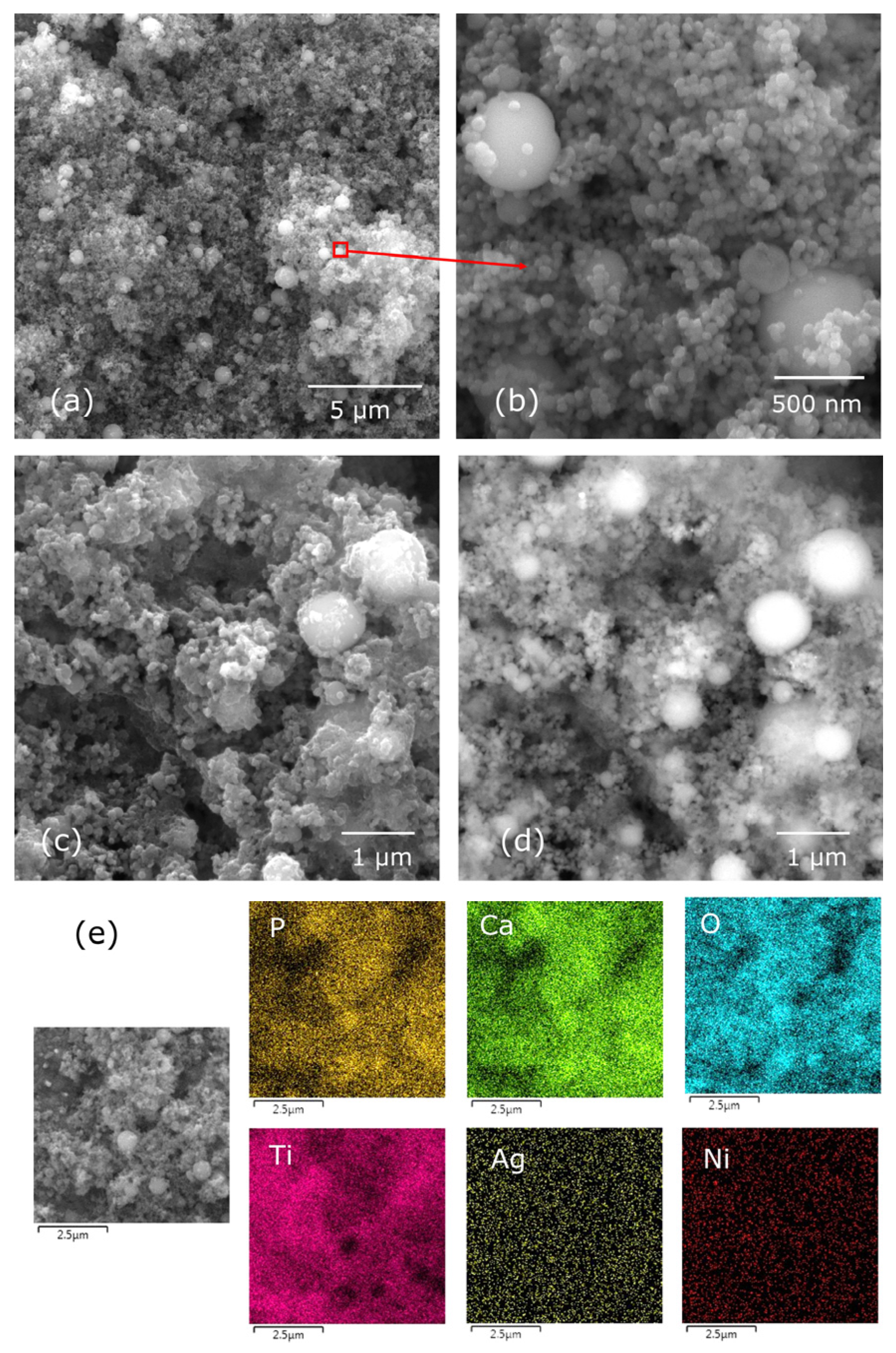 Materials 17 00604 g007