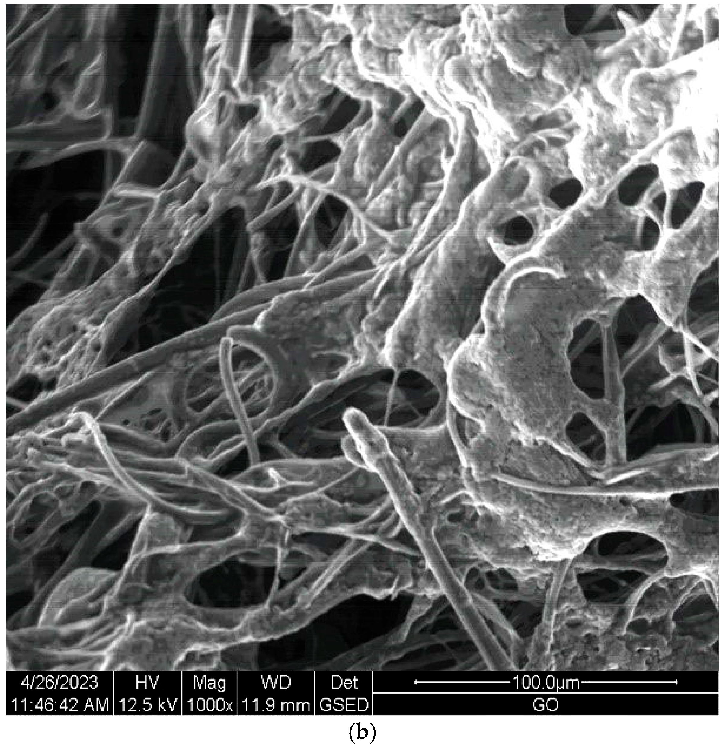 Materials 17 00608 g008b