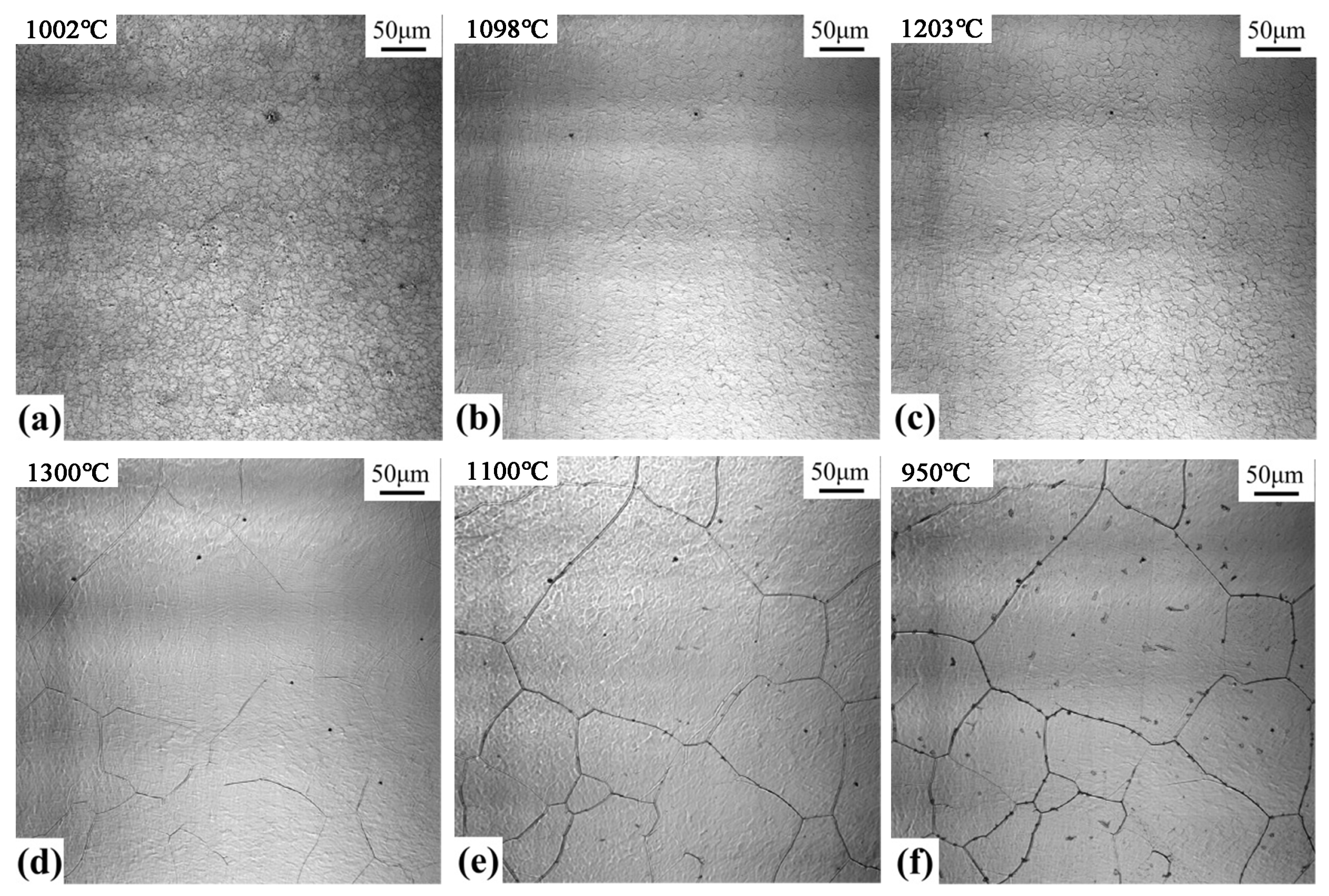 Materials 17 00613 g006